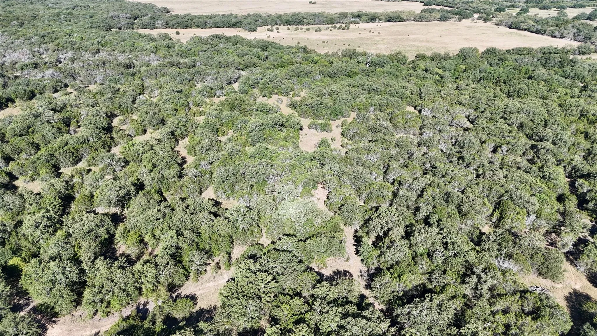Unimproved Land For Sale in Palo Pinto County , Lot 110 Davenport Road, Palo Pinto, Texas 76484, 0, 0, Garage spaces, 0 Sqft, built in 0, Price $205,000, mls#21247338, Real Estate Agent in Palo Pinto, Homes For Sale in Palo Pinto county, Homes For Sale in Palo Pinto, Realtor in Palo Pinto Texas, Real Estate Brokerage Independent Realty Texas, Luminita Cordes Realtor
