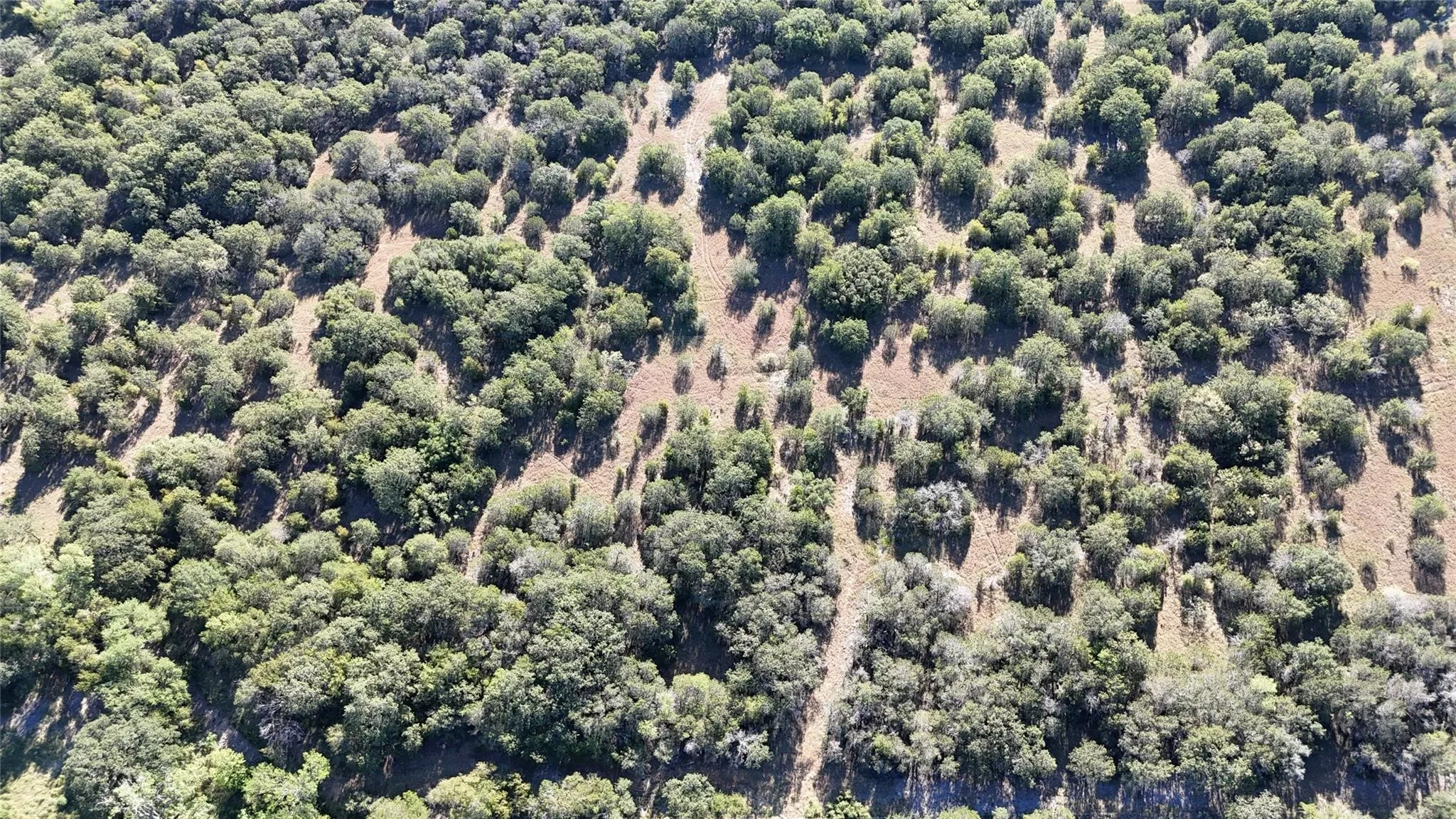 Unimproved Land For Sale in Palo Pinto County , Lot 110 Davenport Road, Palo Pinto, Texas 76484, 0, 0, Garage spaces, 0 Sqft, built in 0, Price $205,000, mls#21247338, Real Estate Agent in Palo Pinto, Homes For Sale in Palo Pinto county, Homes For Sale in Palo Pinto, Realtor in Palo Pinto Texas, Real Estate Brokerage Independent Realty Texas, Luminita Cordes Realtor