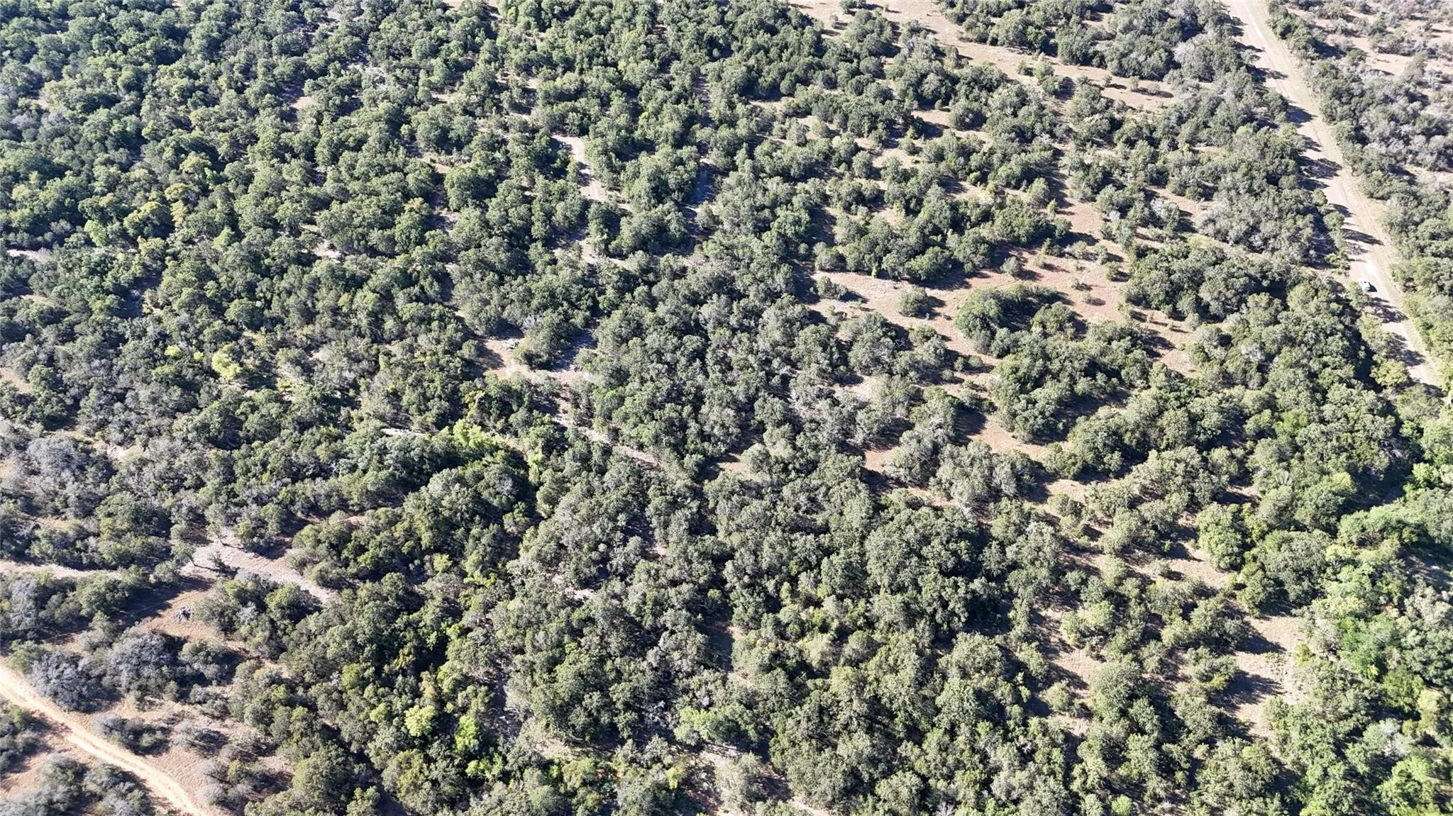 Unimproved Land For Sale in Palo Pinto County , Lot 110 Davenport Road, Palo Pinto, Texas 76484, 0, 0, Garage spaces, 0 Sqft, built in 0, Price $205,000, mls#21247338, Real Estate Agent in Palo Pinto, Homes For Sale in Palo Pinto county, Homes For Sale in Palo Pinto, Realtor in Palo Pinto Texas, Real Estate Brokerage Independent Realty Texas, Luminita Cordes Realtor