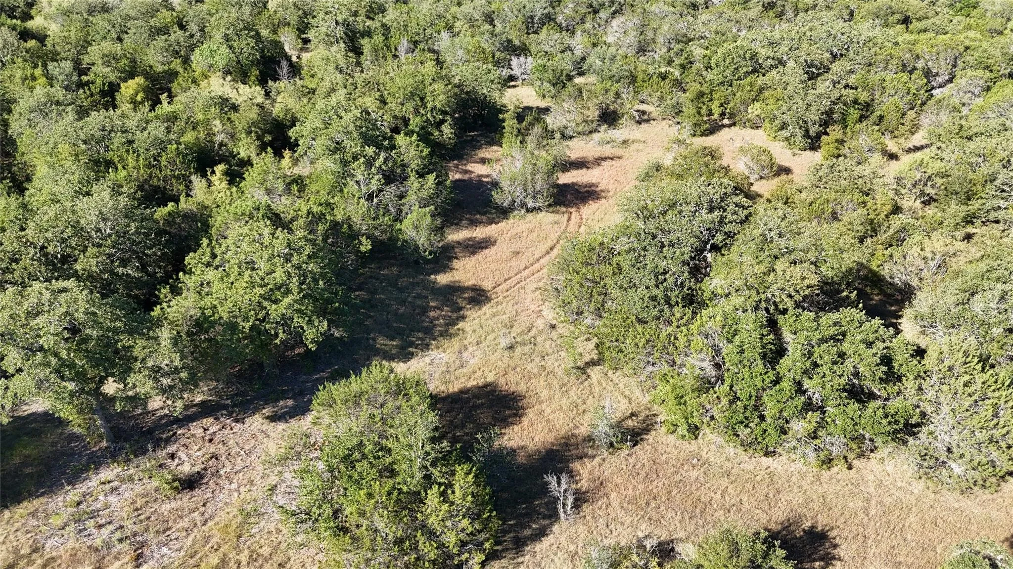 Unimproved Land For Sale in Palo Pinto County , Lot 110 Davenport Road, Palo Pinto, Texas 76484, 0, 0, Garage spaces, 0 Sqft, built in 0, Price $205,000, mls#21247338, Real Estate Agent in Palo Pinto, Homes For Sale in Palo Pinto county, Homes For Sale in Palo Pinto, Realtor in Palo Pinto Texas, Real Estate Brokerage Independent Realty Texas, Luminita Cordes Realtor