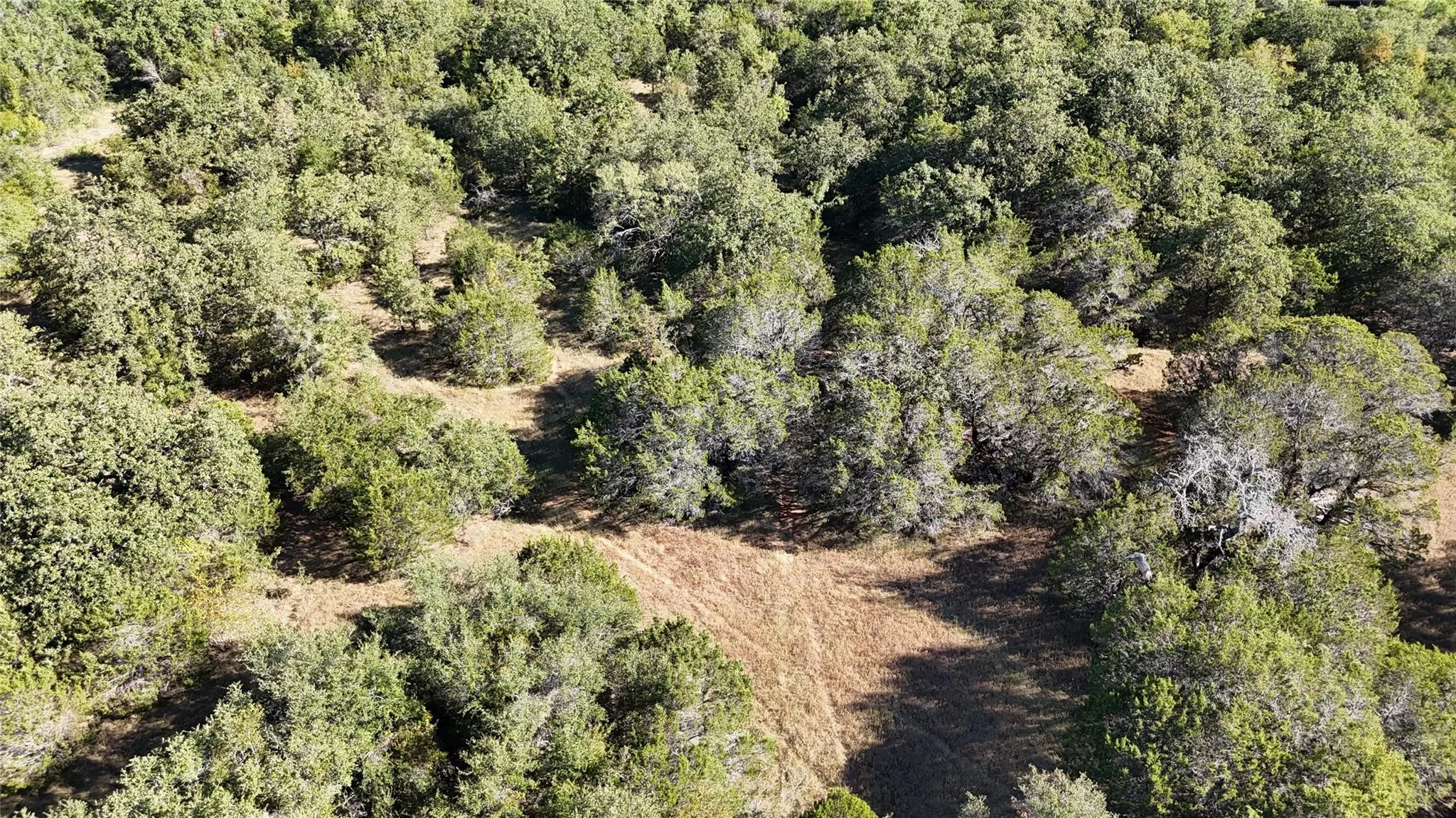 Unimproved Land For Sale in Palo Pinto County , Lot 110 Davenport Road, Palo Pinto, Texas 76484, 0, 0, Garage spaces, 0 Sqft, built in 0, Price $205,000, mls#21247338, Real Estate Agent in Palo Pinto, Homes For Sale in Palo Pinto county, Homes For Sale in Palo Pinto, Realtor in Palo Pinto Texas, Real Estate Brokerage Independent Realty Texas, Luminita Cordes Realtor