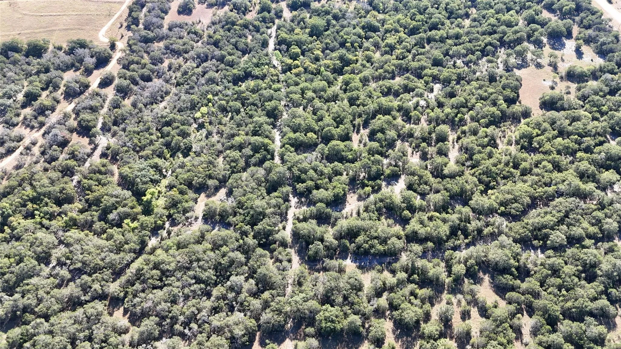 Unimproved Land For Sale in Palo Pinto County , Lot 110 Davenport Road, Palo Pinto, Texas 76484, 0, 0, Garage spaces, 0 Sqft, built in 0, Price $205,000, mls#21247338, Real Estate Agent in Palo Pinto, Homes For Sale in Palo Pinto county, Homes For Sale in Palo Pinto, Realtor in Palo Pinto Texas, Real Estate Brokerage Independent Realty Texas, Luminita Cordes Realtor