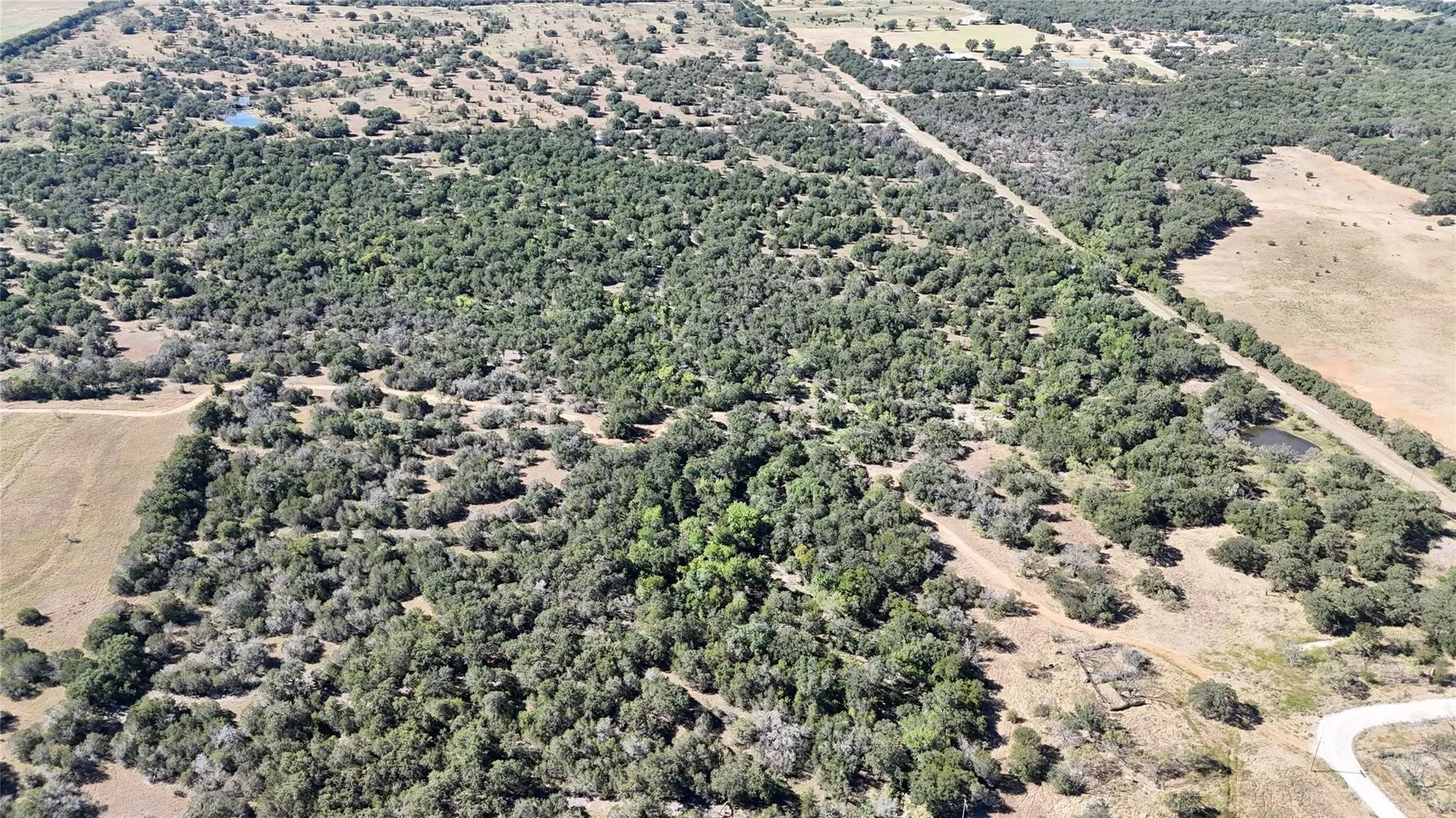 Unimproved Land For Sale in Palo Pinto County , Lot 110 Davenport Road, Palo Pinto, Texas 76484, 0, 0, Garage spaces, 0 Sqft, built in 0, Price $205,000, mls#21247338, Real Estate Agent in Palo Pinto, Homes For Sale in Palo Pinto county, Homes For Sale in Palo Pinto, Realtor in Palo Pinto Texas, Real Estate Brokerage Independent Realty Texas, Luminita Cordes Realtor