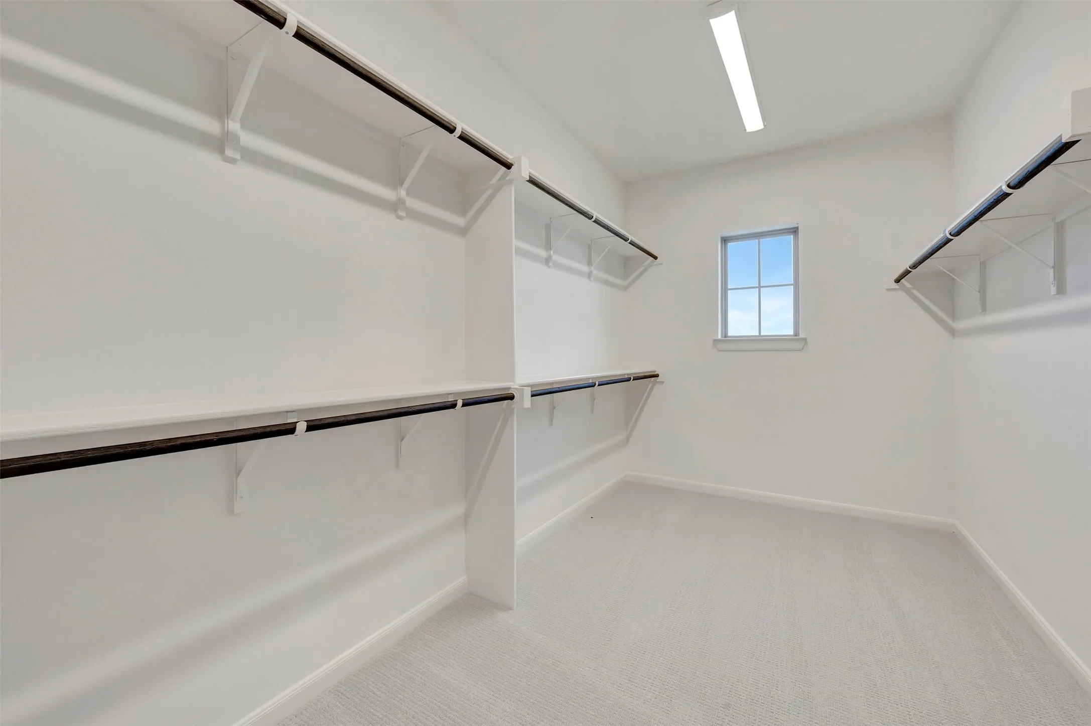 Spacious walk-in closet featuring white walls, light gray carpet flooring, and a single window with a white frame
