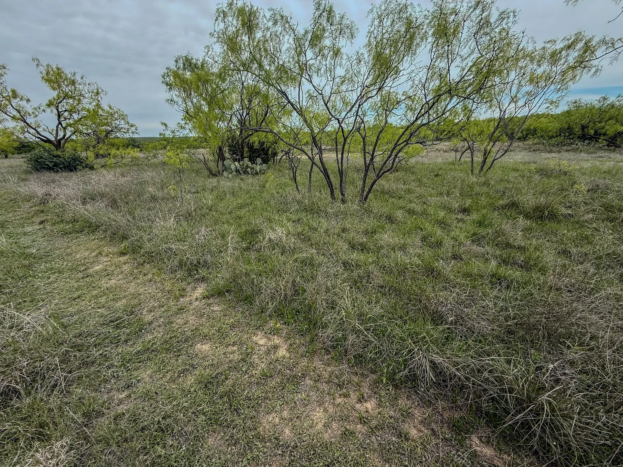 Ranch For Sale in Coleman County , 1124 County Road 322, Voss, Texas 76888, 0, 0, Garage spaces, 0 Sqft, built in 2009, Price $4,415,000, mls#21247519, Real Estate Agent in Voss, Homes For Sale in Coleman county, Homes For Sale in Voss, Realtor in Voss Texas, Real Estate Brokerage Independent Realty Texas, Luminita Cordes Realtor
