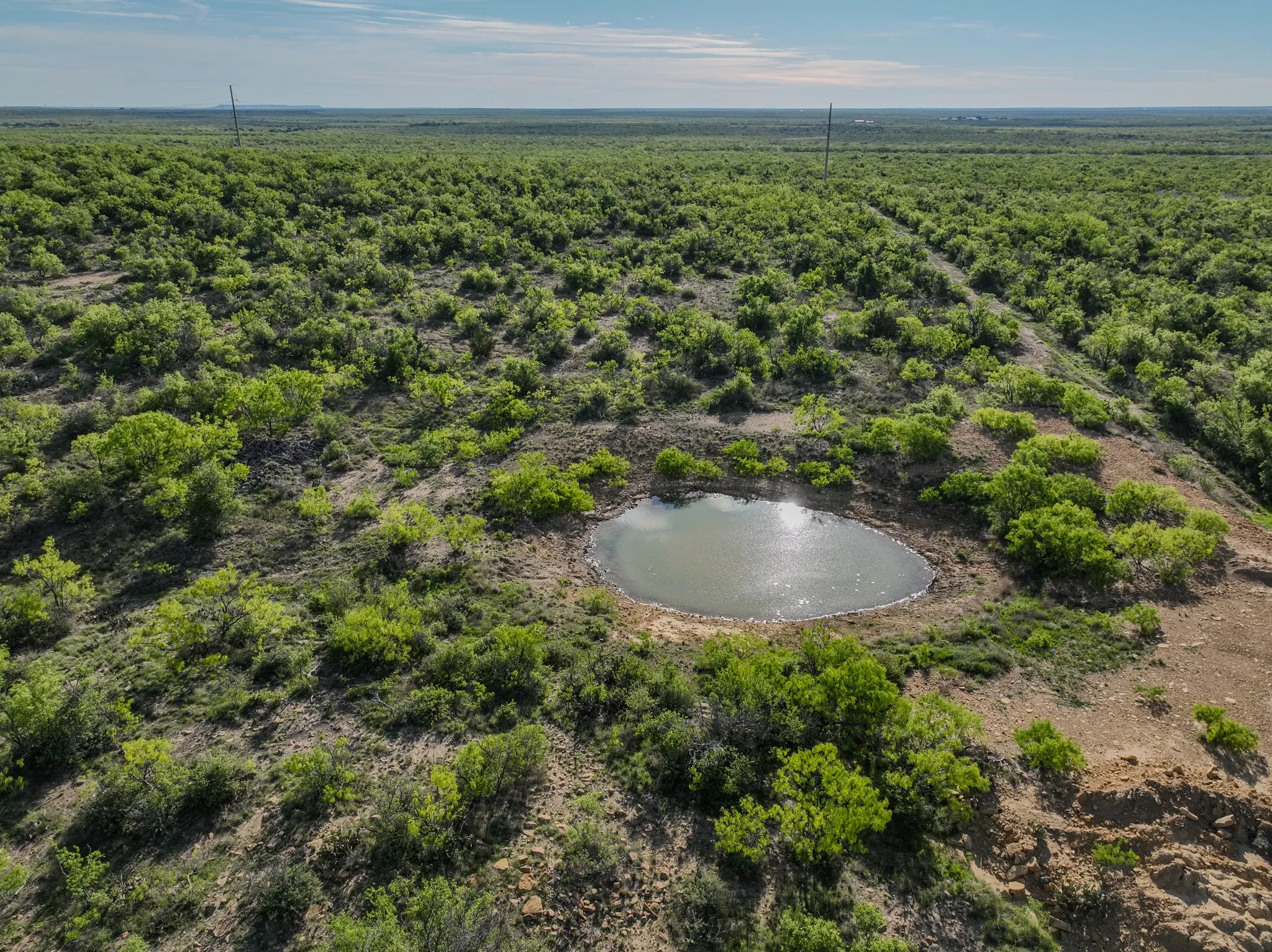 Expansive land parcel featuring a natural water pond and abundant green foliage
