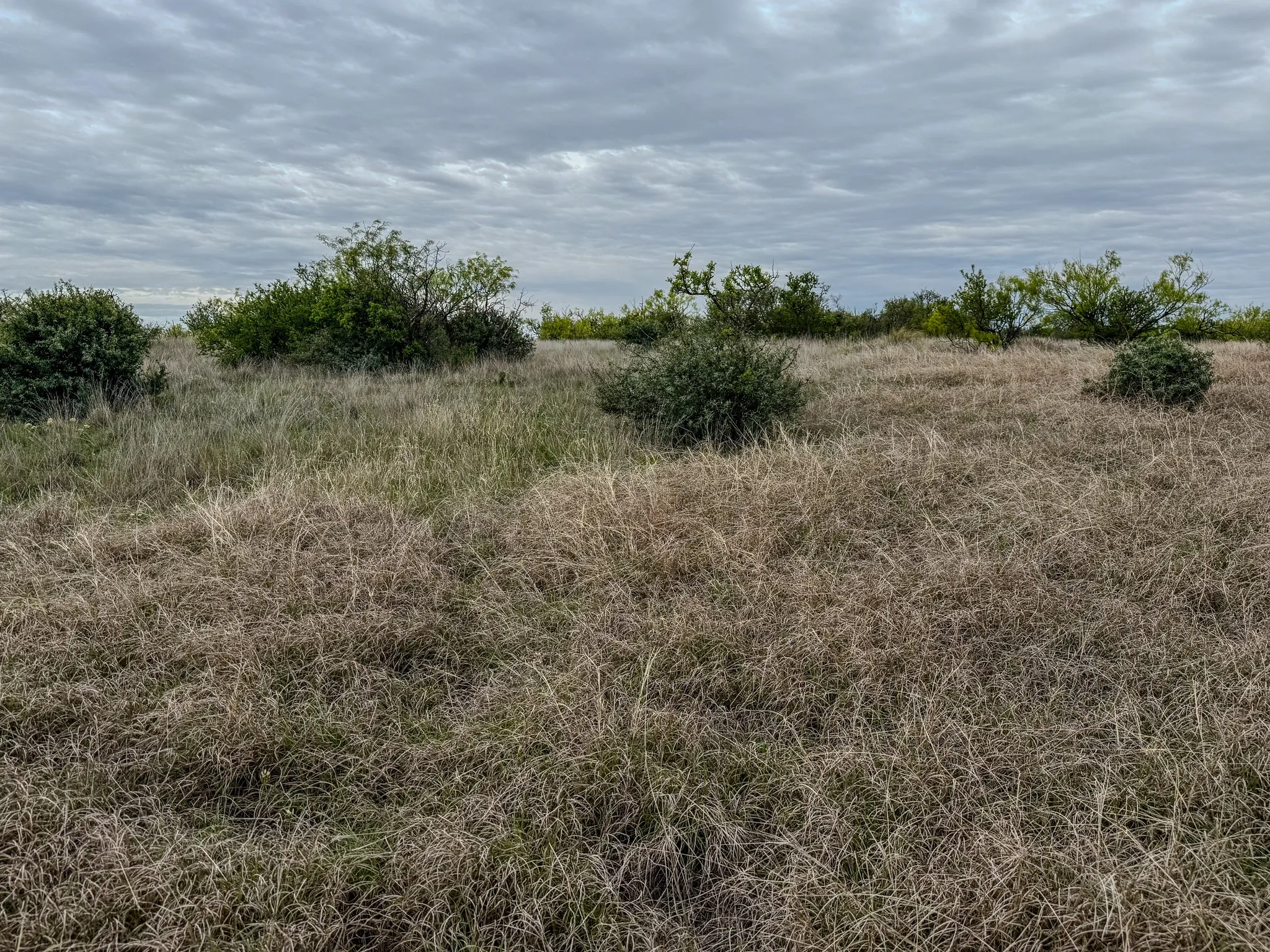 Ranch For Sale in Coleman County , 1124 County Road 322, Voss, Texas 76888, 0, 0, Garage spaces, 0 Sqft, built in 2009, Price $4,415,000, mls#21247519, Real Estate Agent in Voss, Homes For Sale in Coleman county, Homes For Sale in Voss, Realtor in Voss Texas, Real Estate Brokerage Independent Realty Texas, Luminita Cordes Realtor