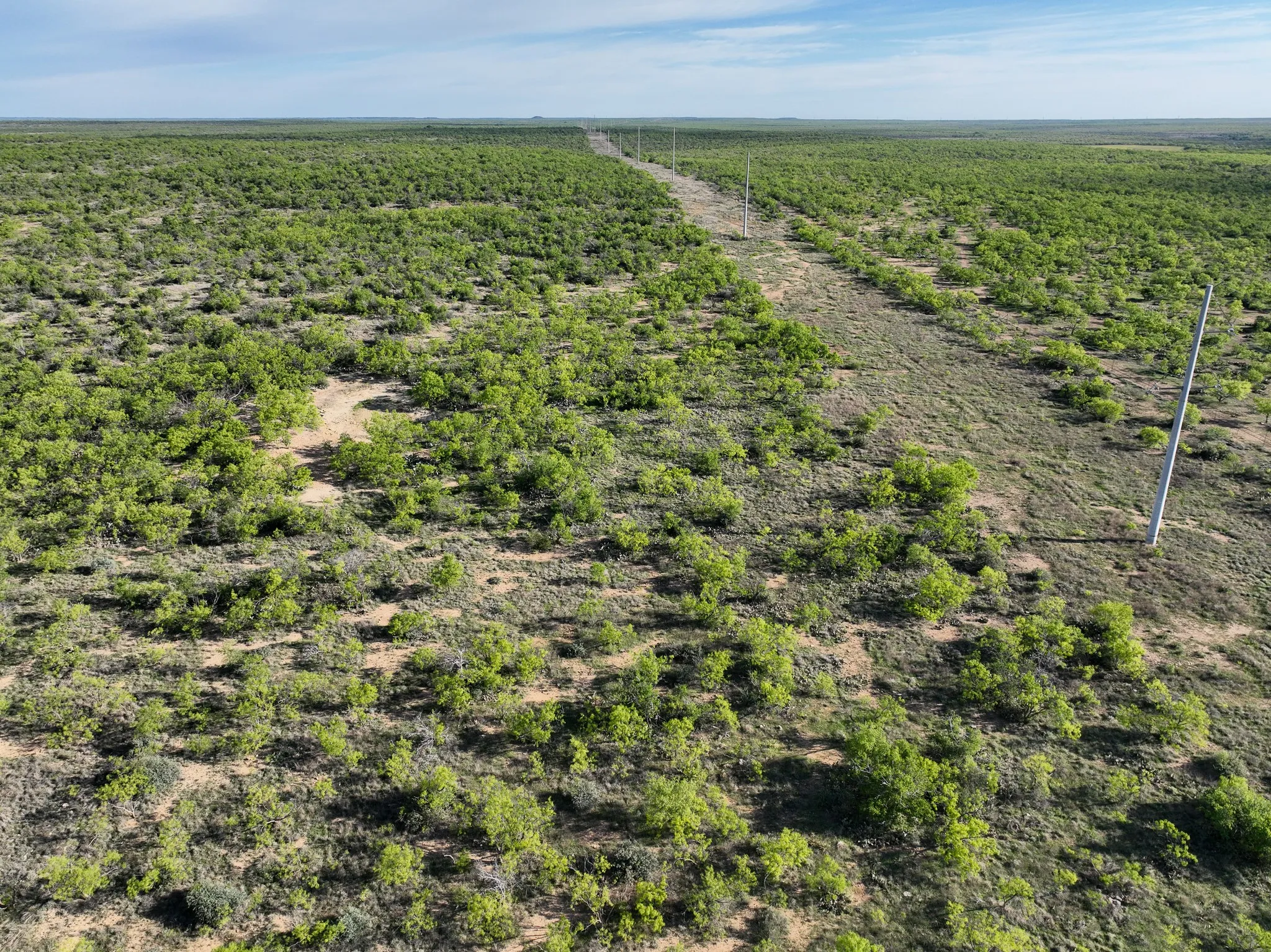Expansive undeveloped terrain featuring widespread green shrubbery and a cleared utility easement
