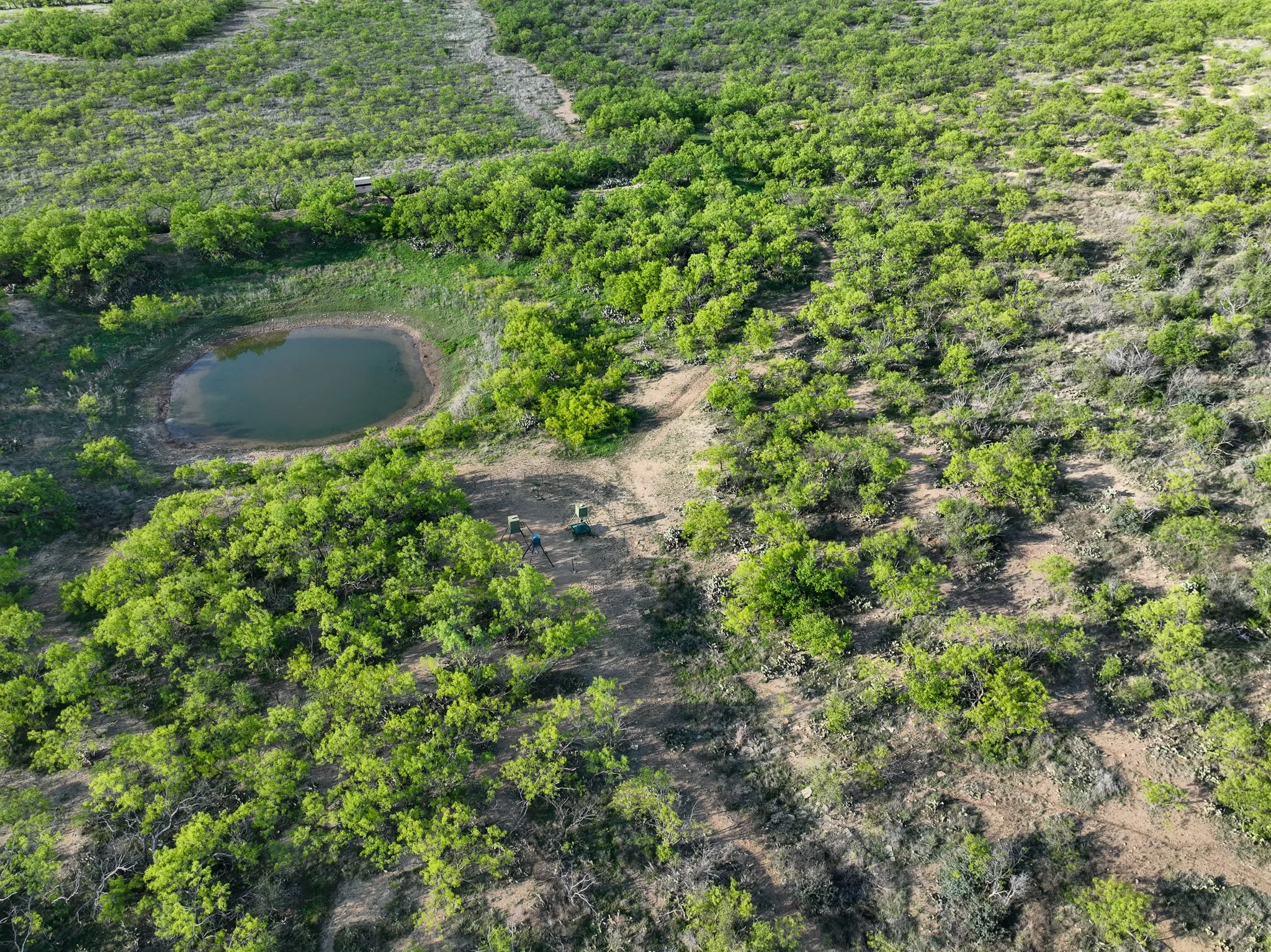 Expansive land parcel featuring a natural pond surrounded by varied green foliage and undeveloped terrain