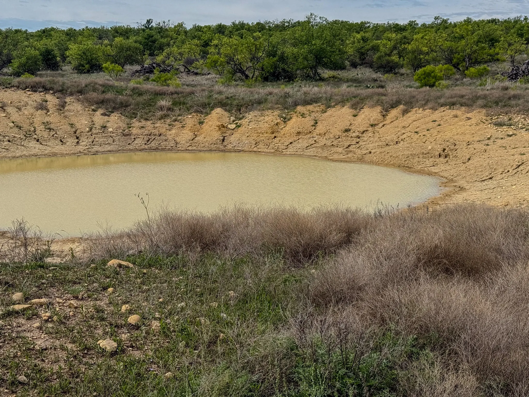 Ranch For Sale in Coleman County , 1124 County Road 322, Voss, Texas 76888, 0, 0, Garage spaces, 0 Sqft, built in 2009, Price $4,415,000, mls#21247519, Real Estate Agent in Voss, Homes For Sale in Coleman county, Homes For Sale in Voss, Realtor in Voss Texas, Real Estate Brokerage Independent Realty Texas, Luminita Cordes Realtor