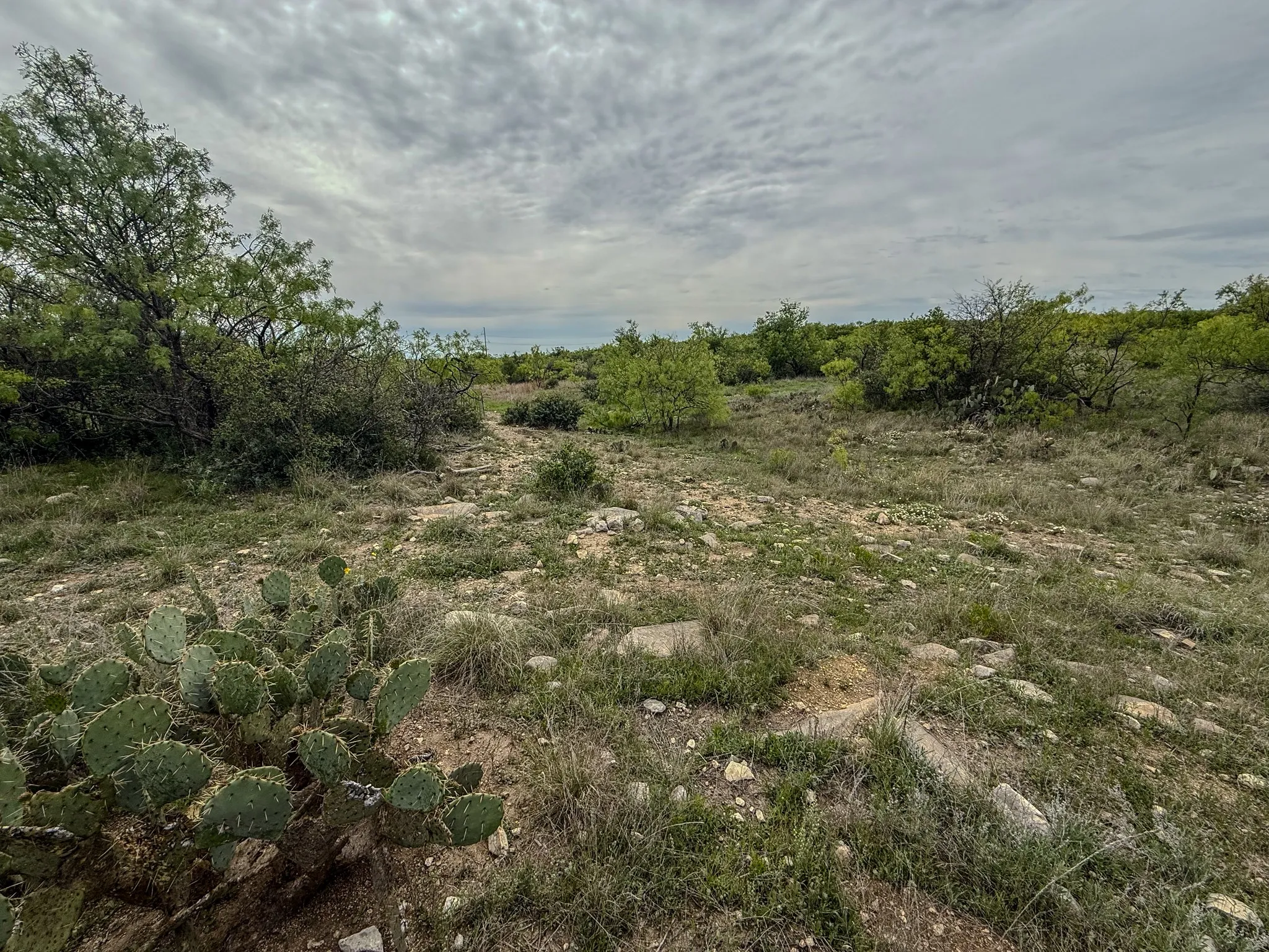 Ranch For Sale in Coleman County , 1124 County Road 322, Voss, Texas 76888, 0, 0, Garage spaces, 0 Sqft, built in 2009, Price $4,415,000, mls#21247519, Real Estate Agent in Voss, Homes For Sale in Coleman county, Homes For Sale in Voss, Realtor in Voss Texas, Real Estate Brokerage Independent Realty Texas, Luminita Cordes Realtor
