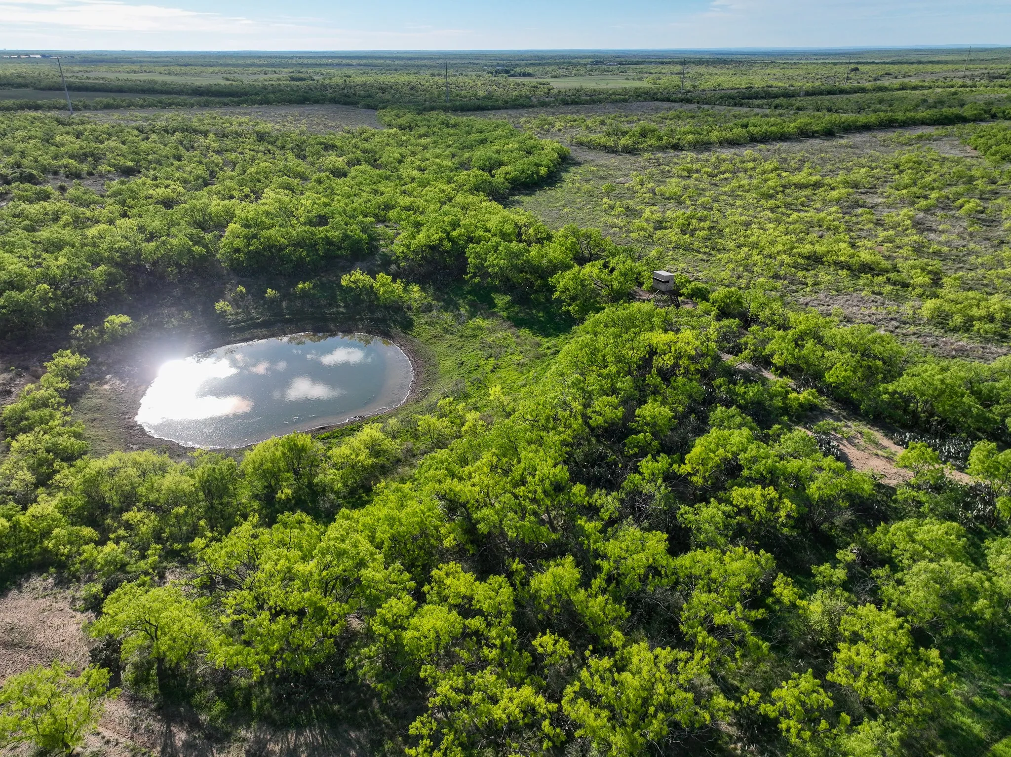 Expansive natural landscape featuring a reflective pond, dense green foliage, and a distant elevated structure