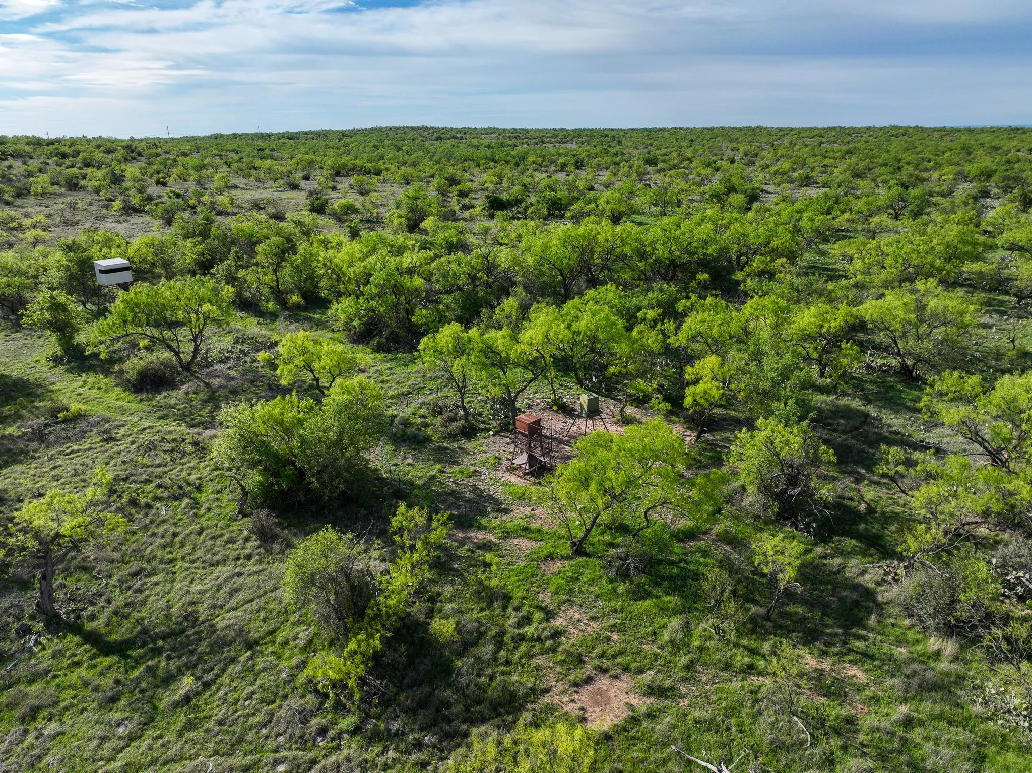 Expansive acreage featuring abundant green foliage and rolling terrain