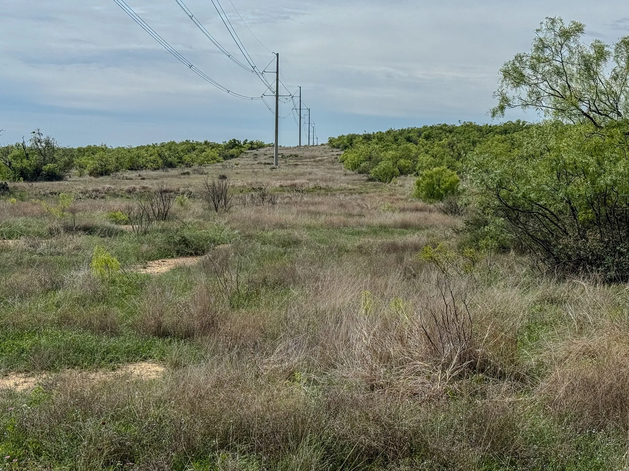 Ranch For Sale in Coleman County , 1124 County Road 322, Voss, Texas 76888, 0, 0, Garage spaces, 0 Sqft, built in 2009, Price $4,415,000, mls#21247519, Real Estate Agent in Voss, Homes For Sale in Coleman county, Homes For Sale in Voss, Realtor in Voss Texas, Real Estate Brokerage Independent Realty Texas, Luminita Cordes Realtor