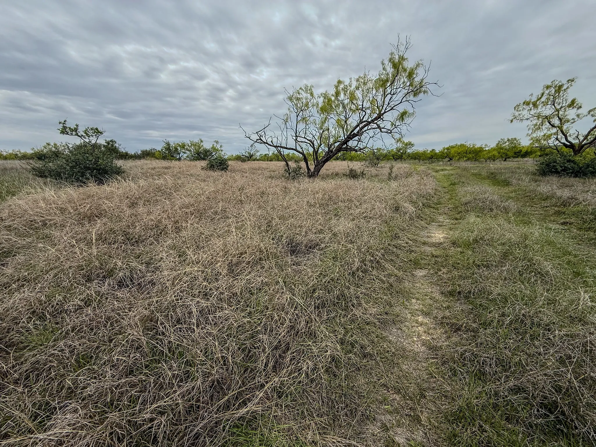 Ranch For Sale in Coleman County , 1124 County Road 322, Voss, Texas 76888, 0, 0, Garage spaces, 0 Sqft, built in 2009, Price $4,415,000, mls#21247519, Real Estate Agent in Voss, Homes For Sale in Coleman county, Homes For Sale in Voss, Realtor in Voss Texas, Real Estate Brokerage Independent Realty Texas, Luminita Cordes Realtor