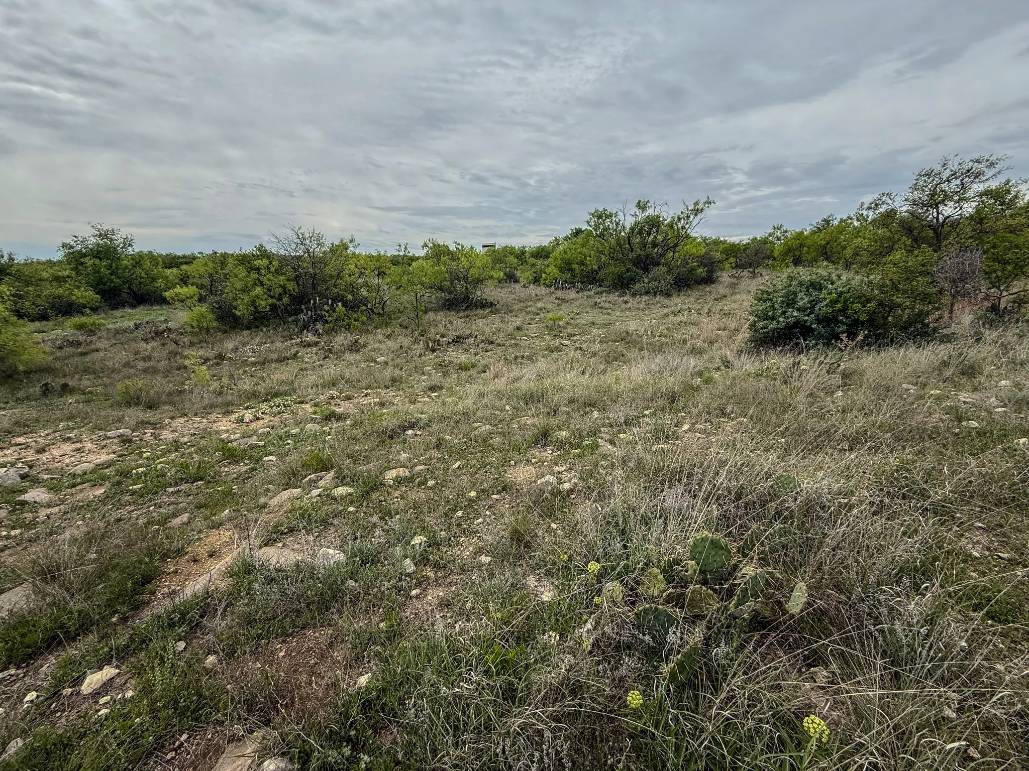 Ranch For Sale in Coleman County , 1124 County Road 322, Voss, Texas 76888, 0, 0, Garage spaces, 0 Sqft, built in 2009, Price $4,415,000, mls#21247519, Real Estate Agent in Voss, Homes For Sale in Coleman county, Homes For Sale in Voss, Realtor in Voss Texas, Real Estate Brokerage Independent Realty Texas, Luminita Cordes Realtor