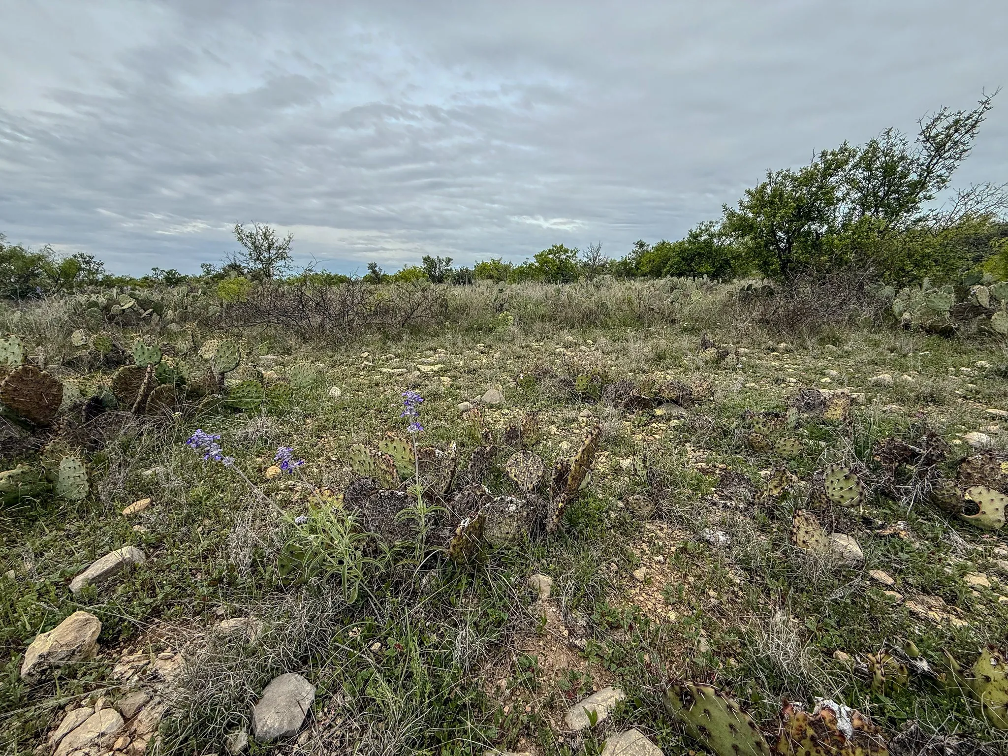 Ranch For Sale in Coleman County , 1124 County Road 322, Voss, Texas 76888, 0, 0, Garage spaces, 0 Sqft, built in 2009, Price $4,415,000, mls#21247519, Real Estate Agent in Voss, Homes For Sale in Coleman county, Homes For Sale in Voss, Realtor in Voss Texas, Real Estate Brokerage Independent Realty Texas, Luminita Cordes Realtor
