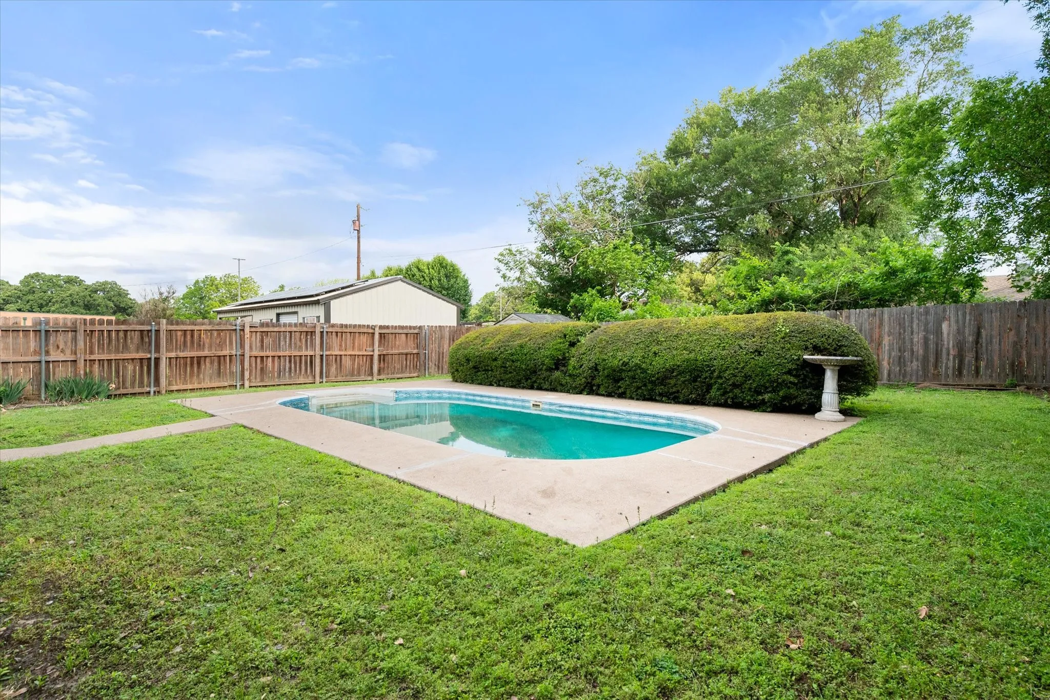 Backyard featuring an in-ground swimming pool with concrete decking, surrounded by a manicured lawn and mature privacy shrubs