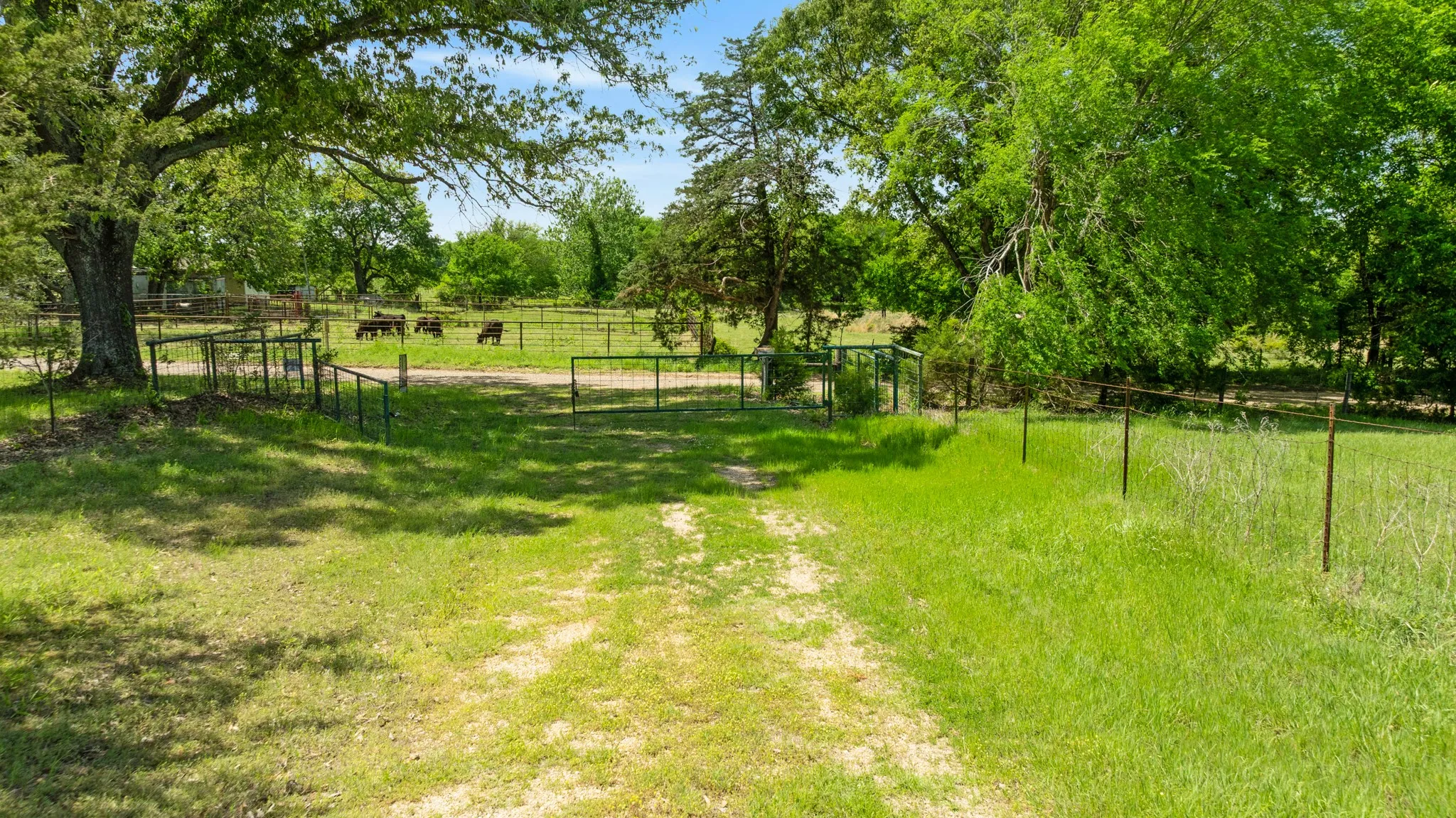 Farm For Sale in Lamar County , 2000 COUNTY ROAD 2420, Honey Grove, Texas 75446, 2 Bedroom, 4 Bathroom, Garage spaces, 3,694 Sqft, built in 1970, mls#21238033, Real Estate Agent in Honey Grove, Homes For Sale in Lamar county, Homes For Sale in Honey Grove, Realtor in Honey Grove Texas, Real Estate Brokerage Independent Realty Texas, Luminita Cordes Realtor