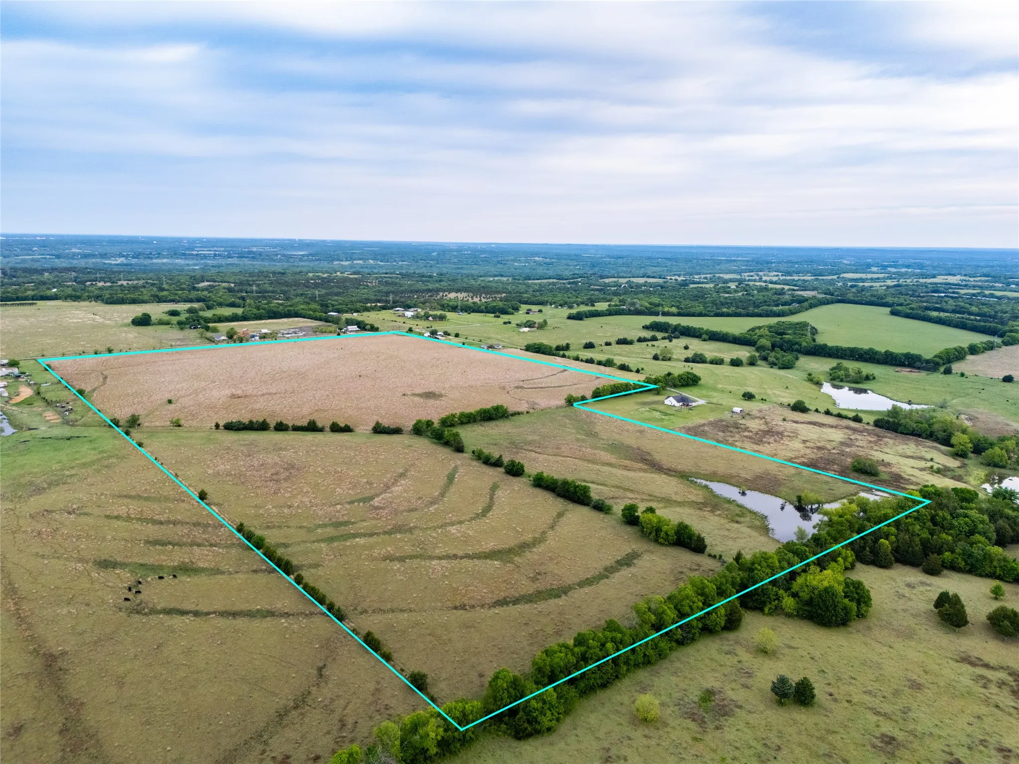 Unimproved Land For Sale in Grayson County , 950 OLD IDA Road, Sherman, Texas 75090, 0, 0, Garage spaces, 0 Sqft, built in 0, Price $1,883,750, mls#21247682, Real Estate Agent in Sherman, Homes For Sale in Grayson county, Homes For Sale in Sherman, Realtor in Sherman Texas, Real Estate Brokerage Independent Realty Texas, Luminita Cordes Realtor
