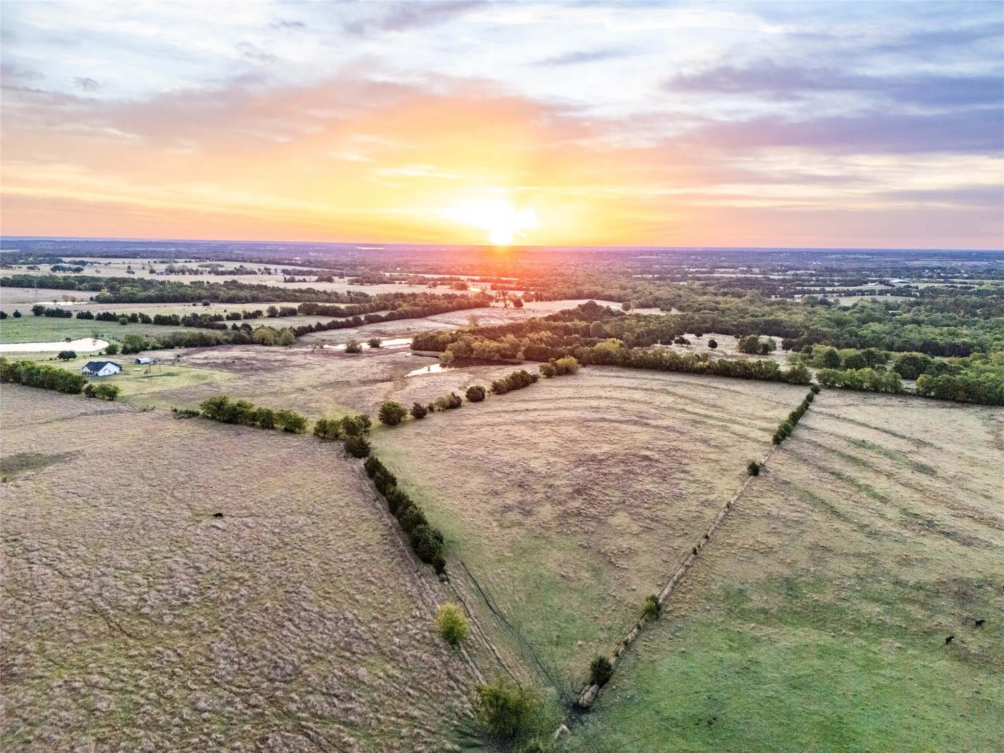 Unimproved Land For Sale in Grayson County , 950 OLD IDA Road, Sherman, Texas 75090, 0, 0, Garage spaces, 0 Sqft, built in 0, Price $1,883,750, mls#21247682, Real Estate Agent in Sherman, Homes For Sale in Grayson county, Homes For Sale in Sherman, Realtor in Sherman Texas, Real Estate Brokerage Independent Realty Texas, Luminita Cordes Realtor