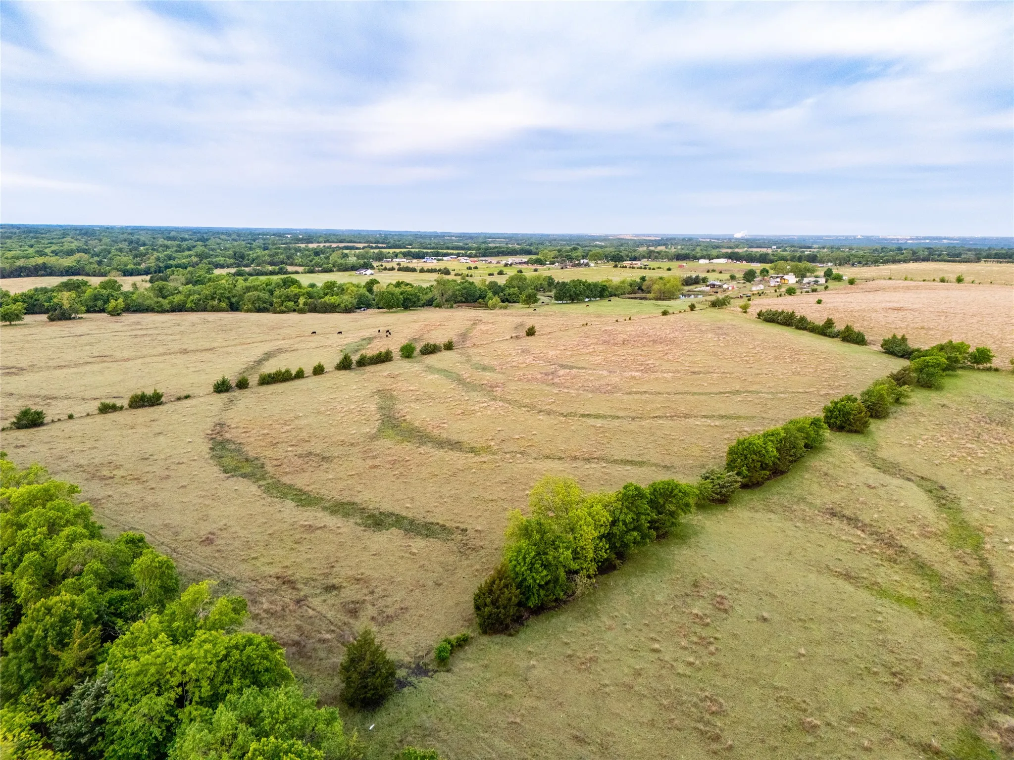 Unimproved Land For Sale in Grayson County , 950 OLD IDA Road, Sherman, Texas 75090, 0, 0, Garage spaces, 0 Sqft, built in 0, Price $1,883,750, mls#21247682, Real Estate Agent in Sherman, Homes For Sale in Grayson county, Homes For Sale in Sherman, Realtor in Sherman Texas, Real Estate Brokerage Independent Realty Texas, Luminita Cordes Realtor