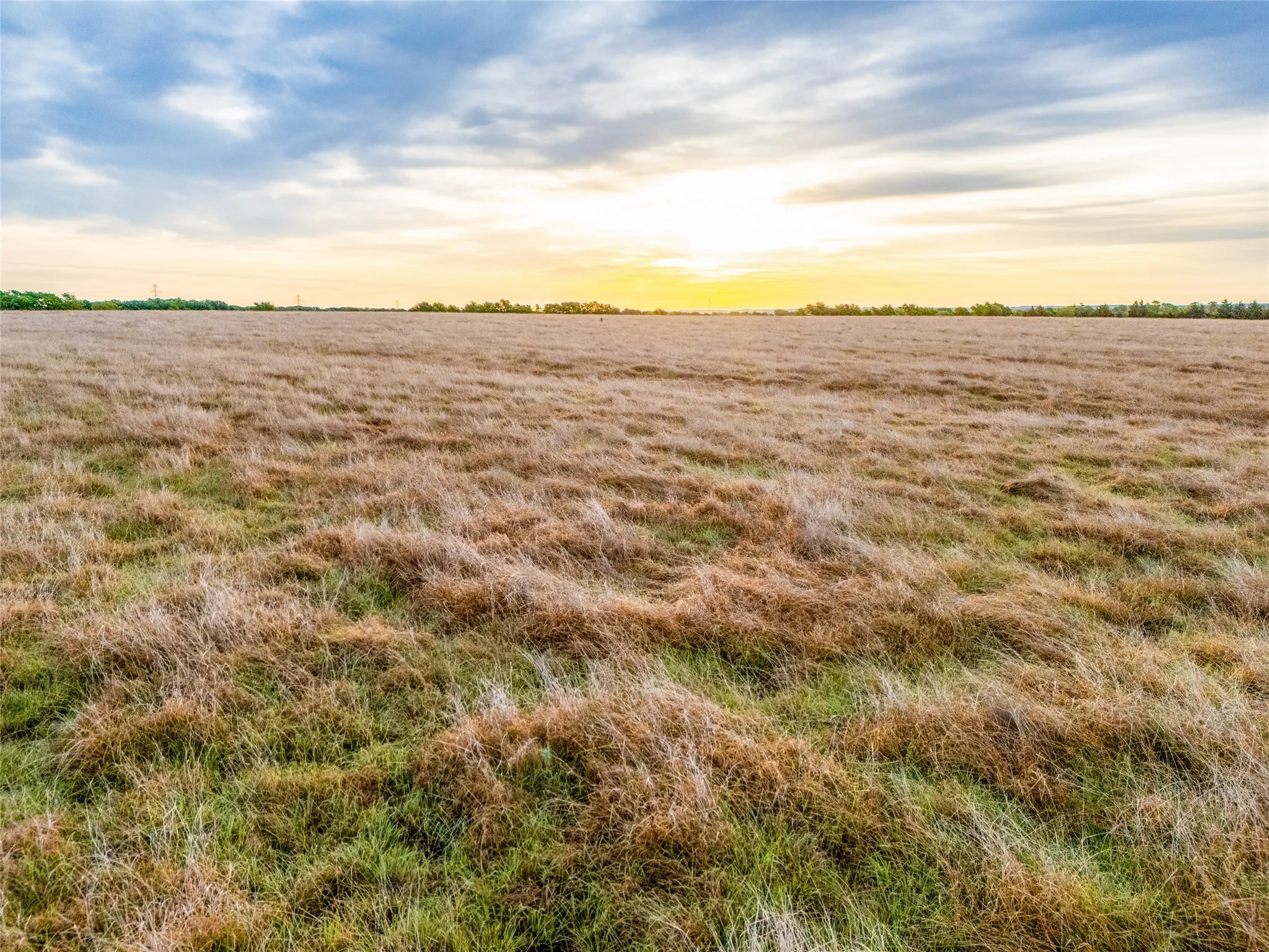 Unimproved Land For Sale in Grayson County , 950 OLD IDA Road, Sherman, Texas 75090, 0, 0, Garage spaces, 0 Sqft, built in 0, Price $1,883,750, mls#21247682, Real Estate Agent in Sherman, Homes For Sale in Grayson county, Homes For Sale in Sherman, Realtor in Sherman Texas, Real Estate Brokerage Independent Realty Texas, Luminita Cordes Realtor