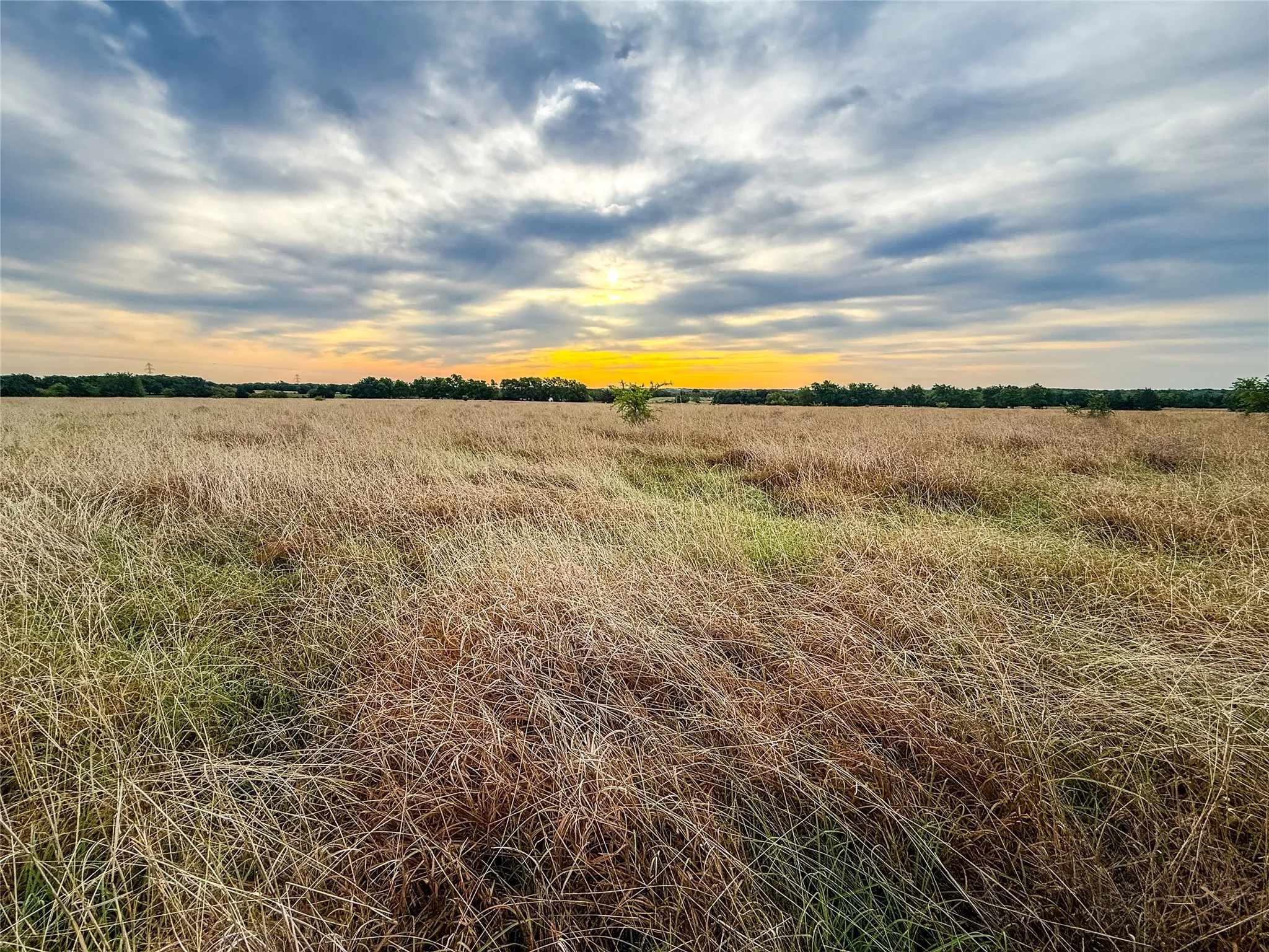 Unimproved Land For Sale in Grayson County , 950 OLD IDA Road, Sherman, Texas 75090, 0, 0, Garage spaces, 0 Sqft, built in 0, Price $1,883,750, mls#21247682, Real Estate Agent in Sherman, Homes For Sale in Grayson county, Homes For Sale in Sherman, Realtor in Sherman Texas, Real Estate Brokerage Independent Realty Texas, Luminita Cordes Realtor