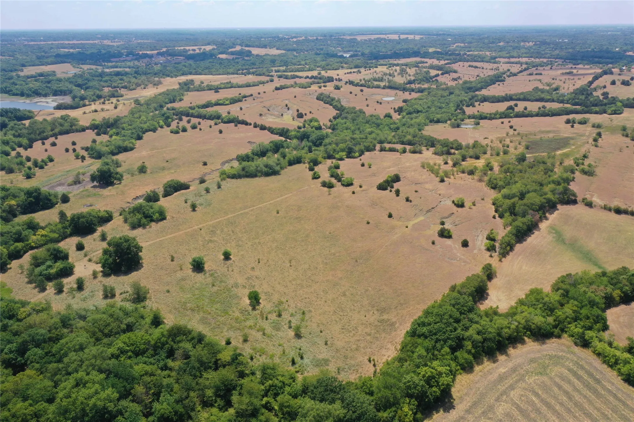 Ranch For Sale in Collin County , 102 AC CR 663, Farmersville, Texas 75442, 0, 0, Garage spaces, 0 Sqft, built in 0, Price $2,564,350, mls#21241767, Real Estate Agent in Farmersville, Homes For Sale in Collin county, Homes For Sale in Farmersville, Realtor in Farmersville Texas, Real Estate Brokerage Independent Realty Texas, Luminita Cordes Realtor