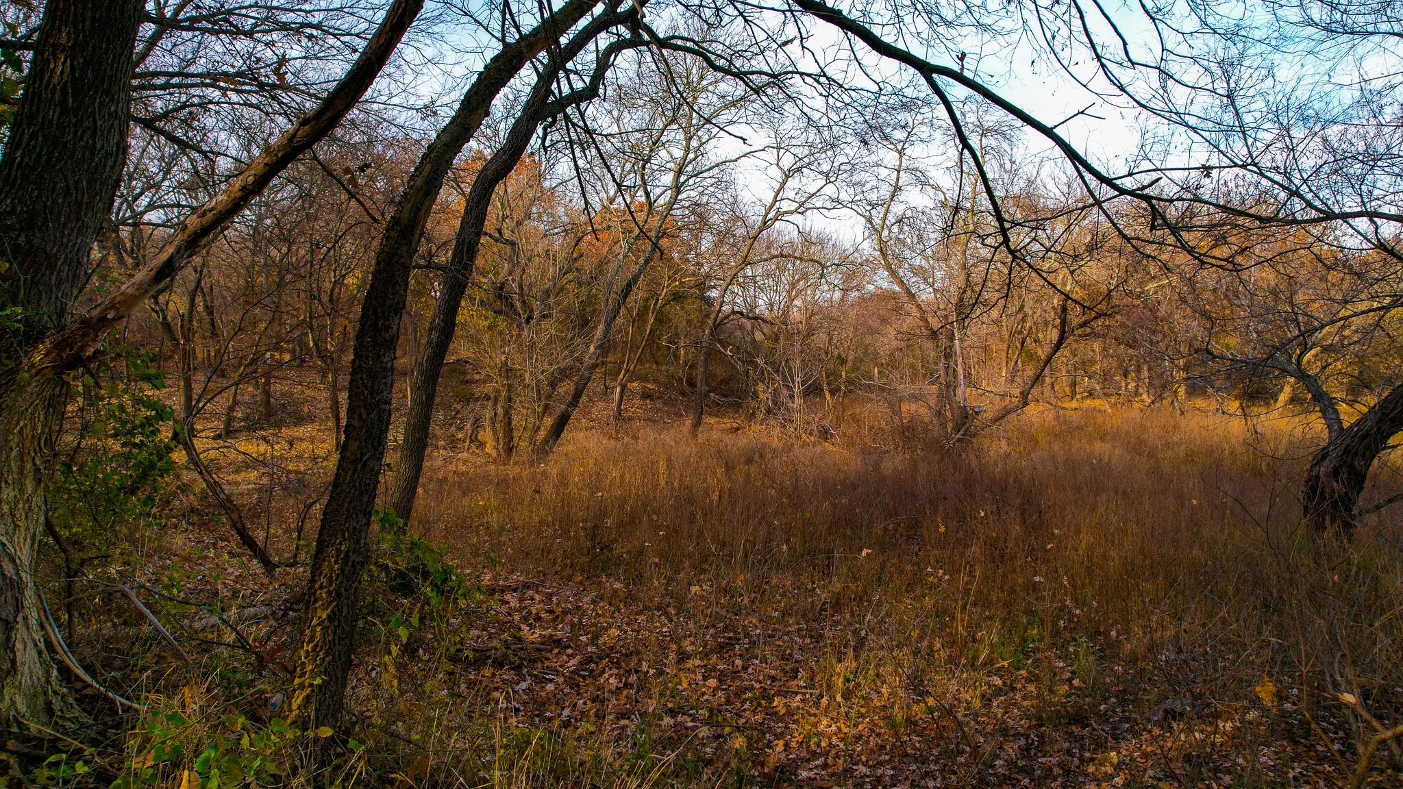 Ranch For Sale in Grayson County , 432 Acres Slickum Slough Road, Whitesboro, Texas 76273, 0, 0, Garage spaces, 0 Sqft, built in 0, mls#21240762, Real Estate Agent in Whitesboro, Homes For Sale in Grayson county, Homes For Sale in Whitesboro, Realtor in Whitesboro Texas, Real Estate Brokerage Independent Realty Texas, Luminita Cordes Realtor