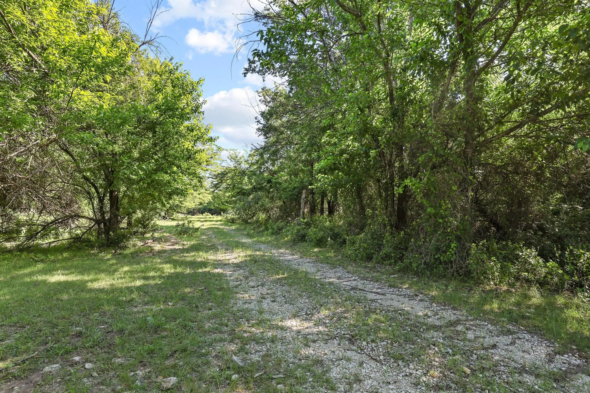 Ranch For Sale in Grayson County , 432 Acres Slickum Slough Road, Whitesboro, Texas 76273, 0, 0, Garage spaces, 0 Sqft, built in 0, mls#21240762, Real Estate Agent in Whitesboro, Homes For Sale in Grayson county, Homes For Sale in Whitesboro, Realtor in Whitesboro Texas, Real Estate Brokerage Independent Realty Texas, Luminita Cordes Realtor