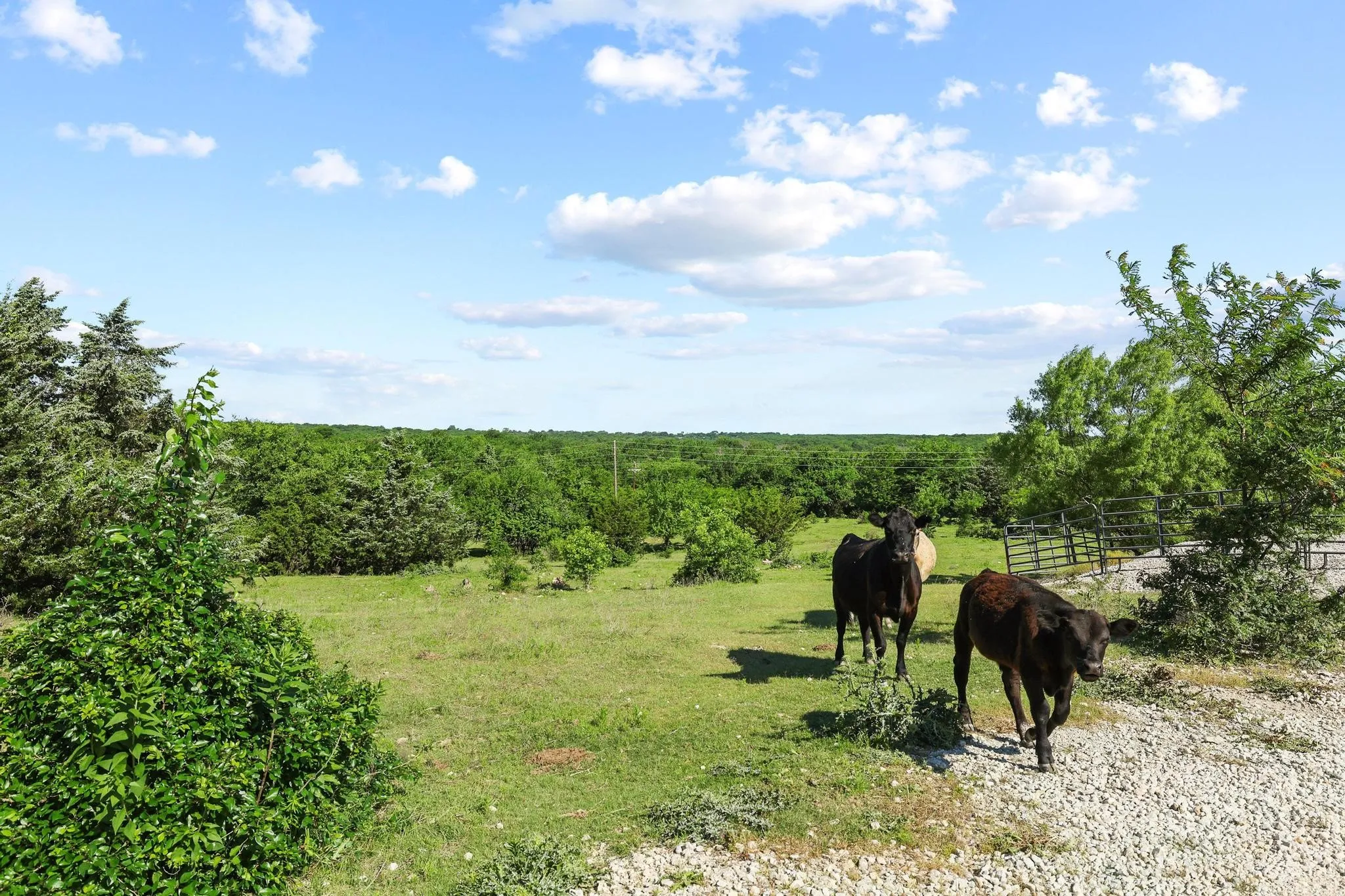 Ranch For Sale in Grayson County , 432 Acres Slickum Slough Road, Whitesboro, Texas 76273, 0, 0, Garage spaces, 0 Sqft, built in 0, mls#21240762, Real Estate Agent in Whitesboro, Homes For Sale in Grayson county, Homes For Sale in Whitesboro, Realtor in Whitesboro Texas, Real Estate Brokerage Independent Realty Texas, Luminita Cordes Realtor