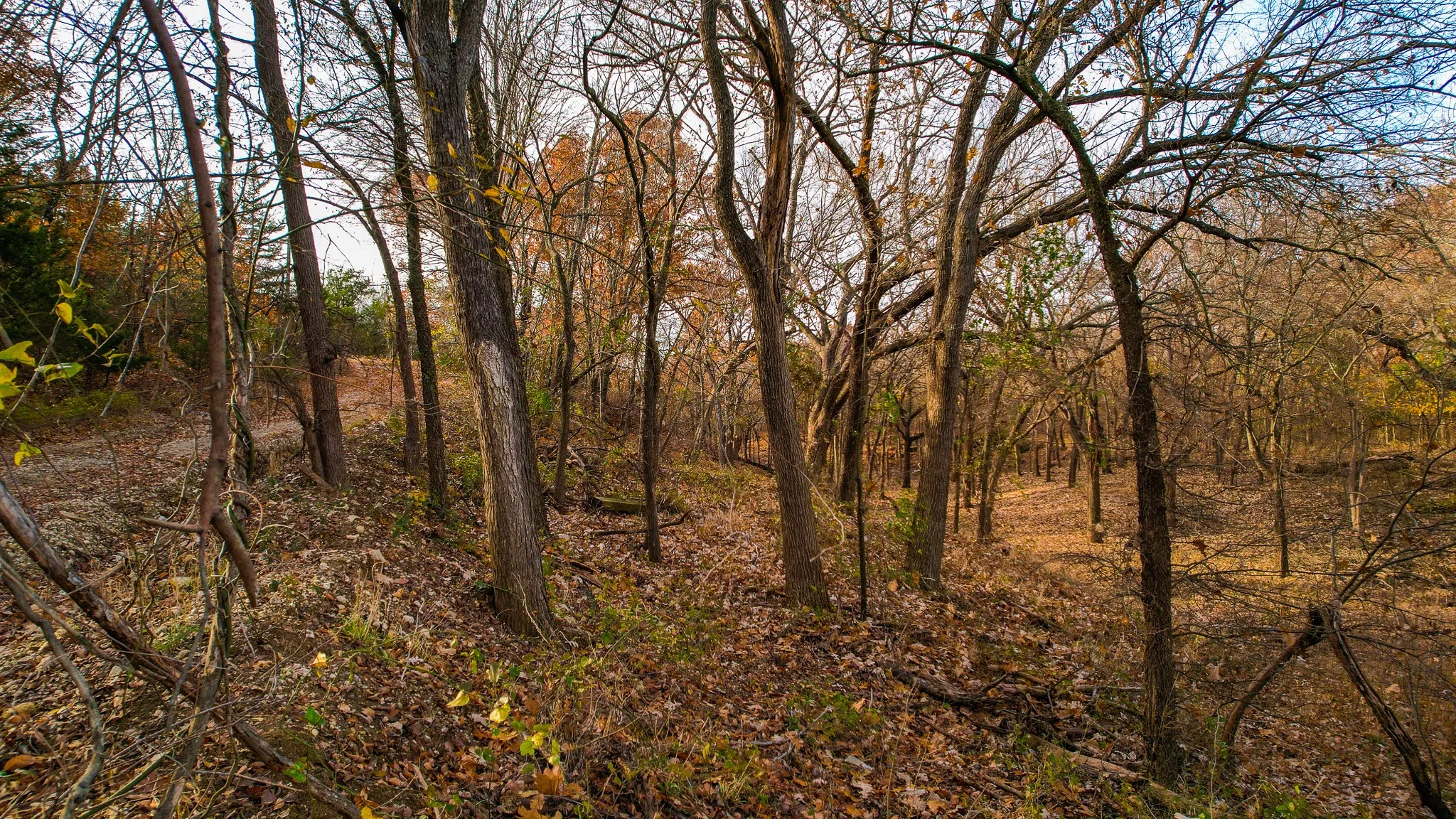 Ranch For Sale in Grayson County , 432 Acres Slickum Slough Road, Whitesboro, Texas 76273, 0, 0, Garage spaces, 0 Sqft, built in 0, mls#21240762, Real Estate Agent in Whitesboro, Homes For Sale in Grayson county, Homes For Sale in Whitesboro, Realtor in Whitesboro Texas, Real Estate Brokerage Independent Realty Texas, Luminita Cordes Realtor