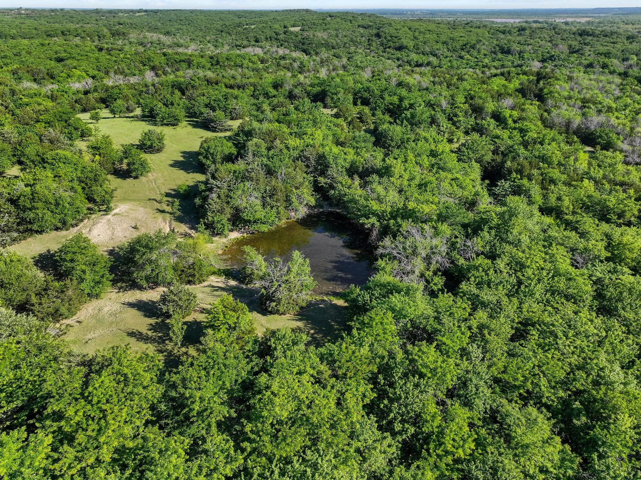 Ranch For Sale in Grayson County , 432 Acres Slickum Slough Road, Whitesboro, Texas 76273, 0, 0, Garage spaces, 0 Sqft, built in 0, mls#21240762, Real Estate Agent in Whitesboro, Homes For Sale in Grayson county, Homes For Sale in Whitesboro, Realtor in Whitesboro Texas, Real Estate Brokerage Independent Realty Texas, Luminita Cordes Realtor