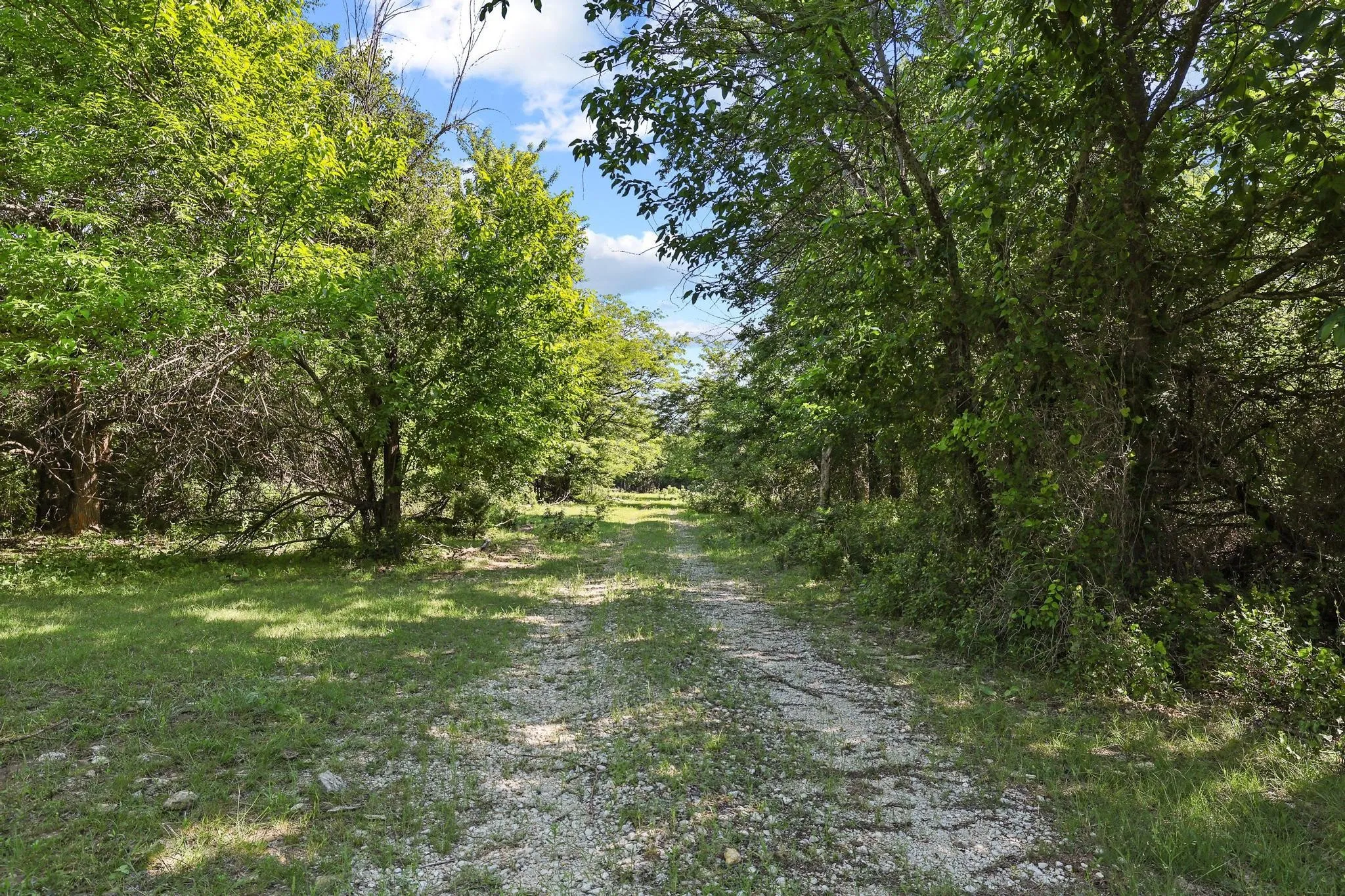 Ranch For Sale in Grayson County , 432 Acres Slickum Slough Road, Whitesboro, Texas 76273, 0, 0, Garage spaces, 0 Sqft, built in 0, mls#21240762, Real Estate Agent in Whitesboro, Homes For Sale in Grayson county, Homes For Sale in Whitesboro, Realtor in Whitesboro Texas, Real Estate Brokerage Independent Realty Texas, Luminita Cordes Realtor