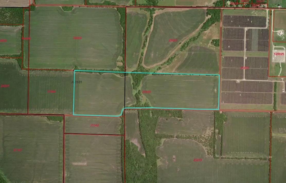 Ranch For Sale in Hunt County , 84 AC County Rd 1057, Greenville, Texas 75401, 0, 0, Garage spaces, 0 Sqft, built in 0, Price $1,602,080, mls#21241771, Real Estate Agent in Greenville, Homes For Sale in Hunt county, Homes For Sale in Greenville, Realtor in Greenville Texas, Real Estate Brokerage Independent Realty Texas, Luminita Cordes Realtor