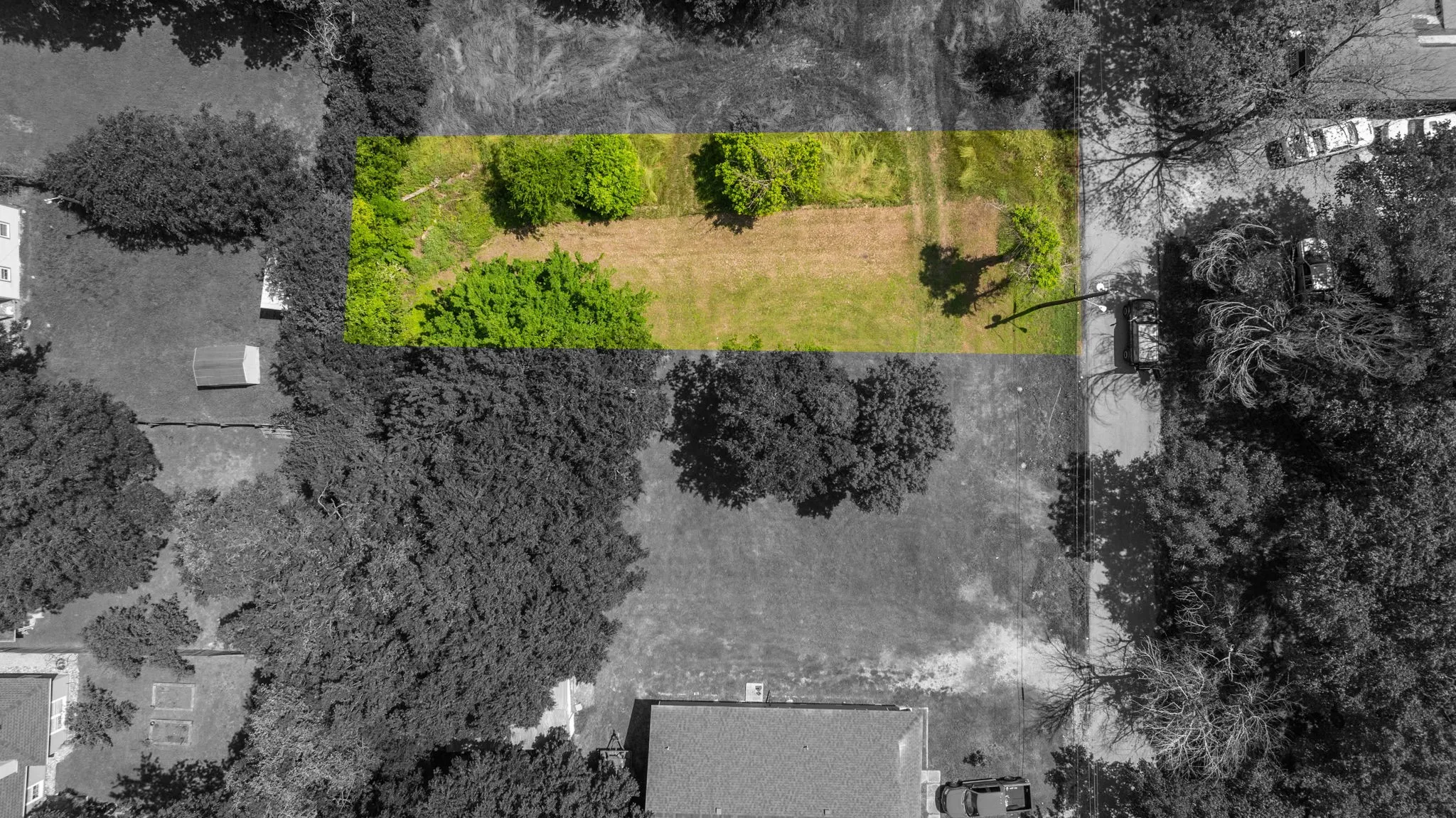 Expansive lot featuring mature greenery and open land
