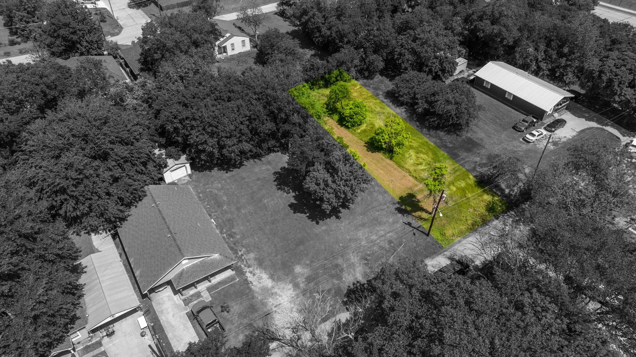 Expansive land parcel with significant tree coverage and a visible utility pole