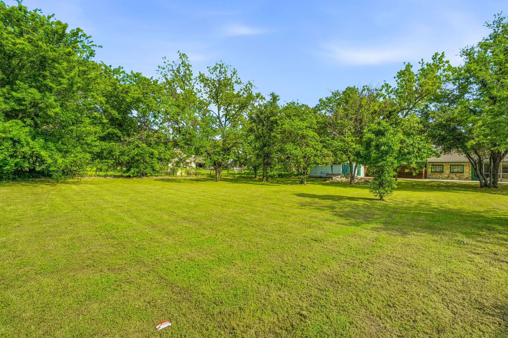 Expansive green lawn with mature trees and a clear blue sky
