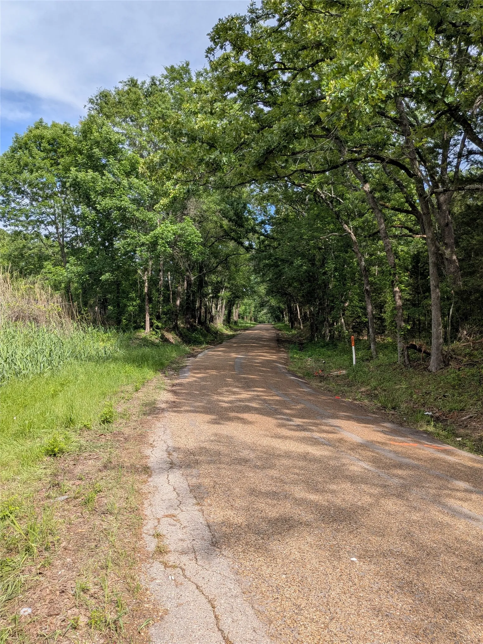 Unimproved Land For Sale in Van Zandt County , 110 Vz County Road 1129, Fruitvale, Texas 75127, 0, 0, Garage spaces, 0 Sqft, built in 0, mls#21247880, Real Estate Agent in Fruitvale, Homes For Sale in Van Zandt county, Homes For Sale in Fruitvale, Realtor in Fruitvale Texas, Real Estate Brokerage Independent Realty Texas, Luminita Cordes Realtor