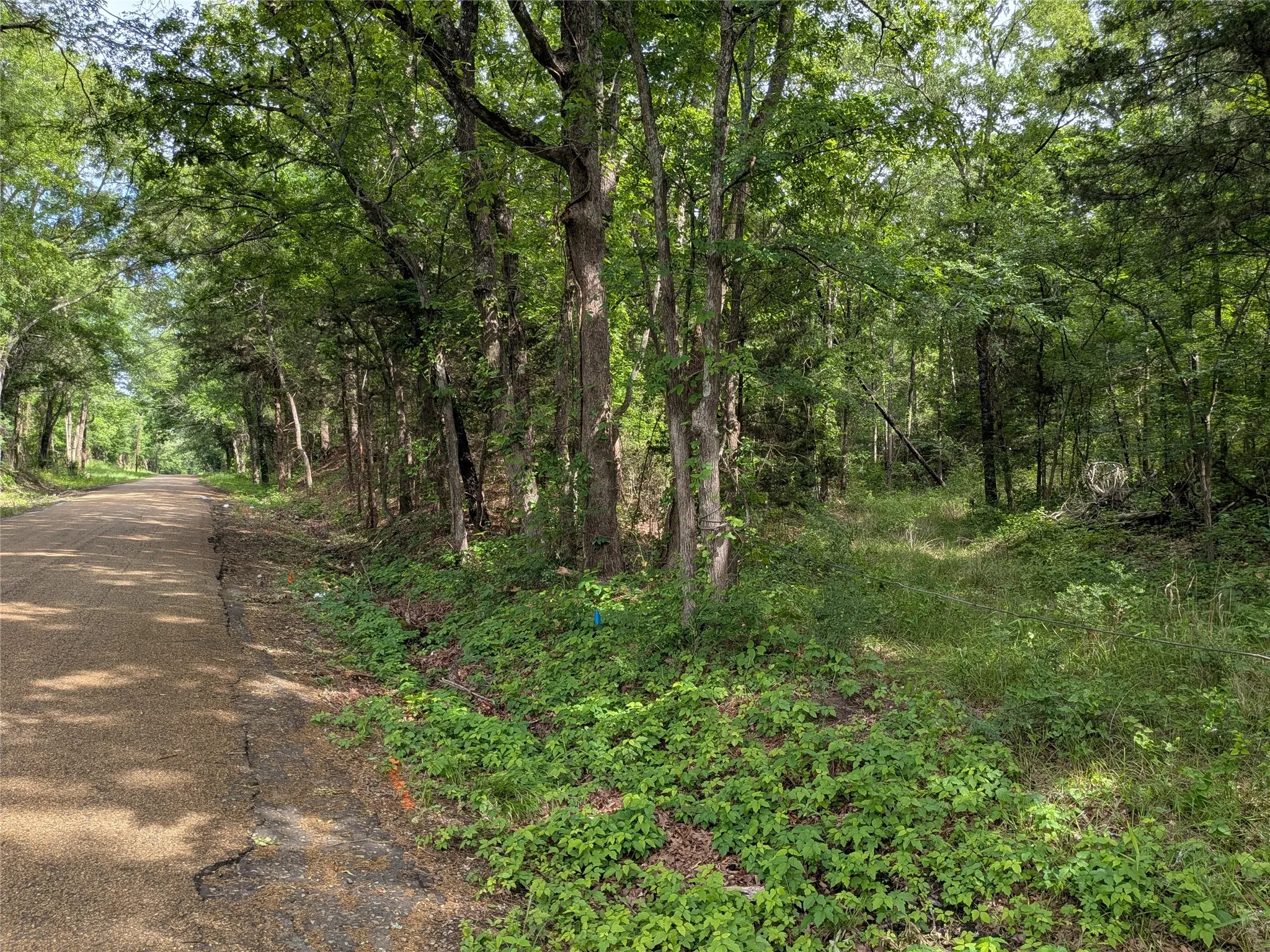 Unimproved Land For Sale in Van Zandt County , 110 Vz County Road 1129, Fruitvale, Texas 75127, 0, 0, Garage spaces, 0 Sqft, built in 0, mls#21247880, Real Estate Agent in Fruitvale, Homes For Sale in Van Zandt county, Homes For Sale in Fruitvale, Realtor in Fruitvale Texas, Real Estate Brokerage Independent Realty Texas, Luminita Cordes Realtor