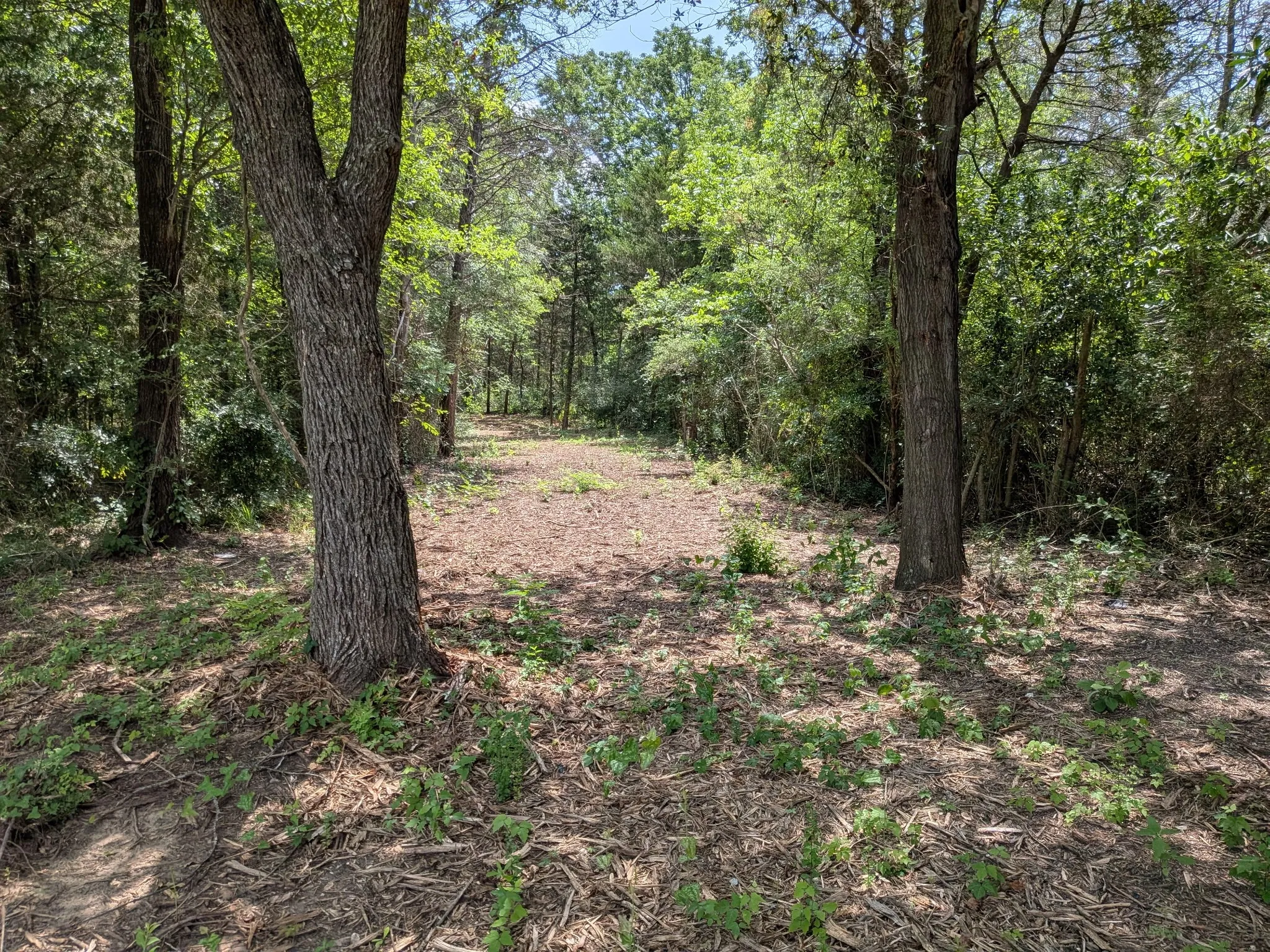 Unimproved Land For Sale in Van Zandt County , 110 Vz County Road 1129, Fruitvale, Texas 75127, 0, 0, Garage spaces, 0 Sqft, built in 0, mls#21247880, Real Estate Agent in Fruitvale, Homes For Sale in Van Zandt county, Homes For Sale in Fruitvale, Realtor in Fruitvale Texas, Real Estate Brokerage Independent Realty Texas, Luminita Cordes Realtor