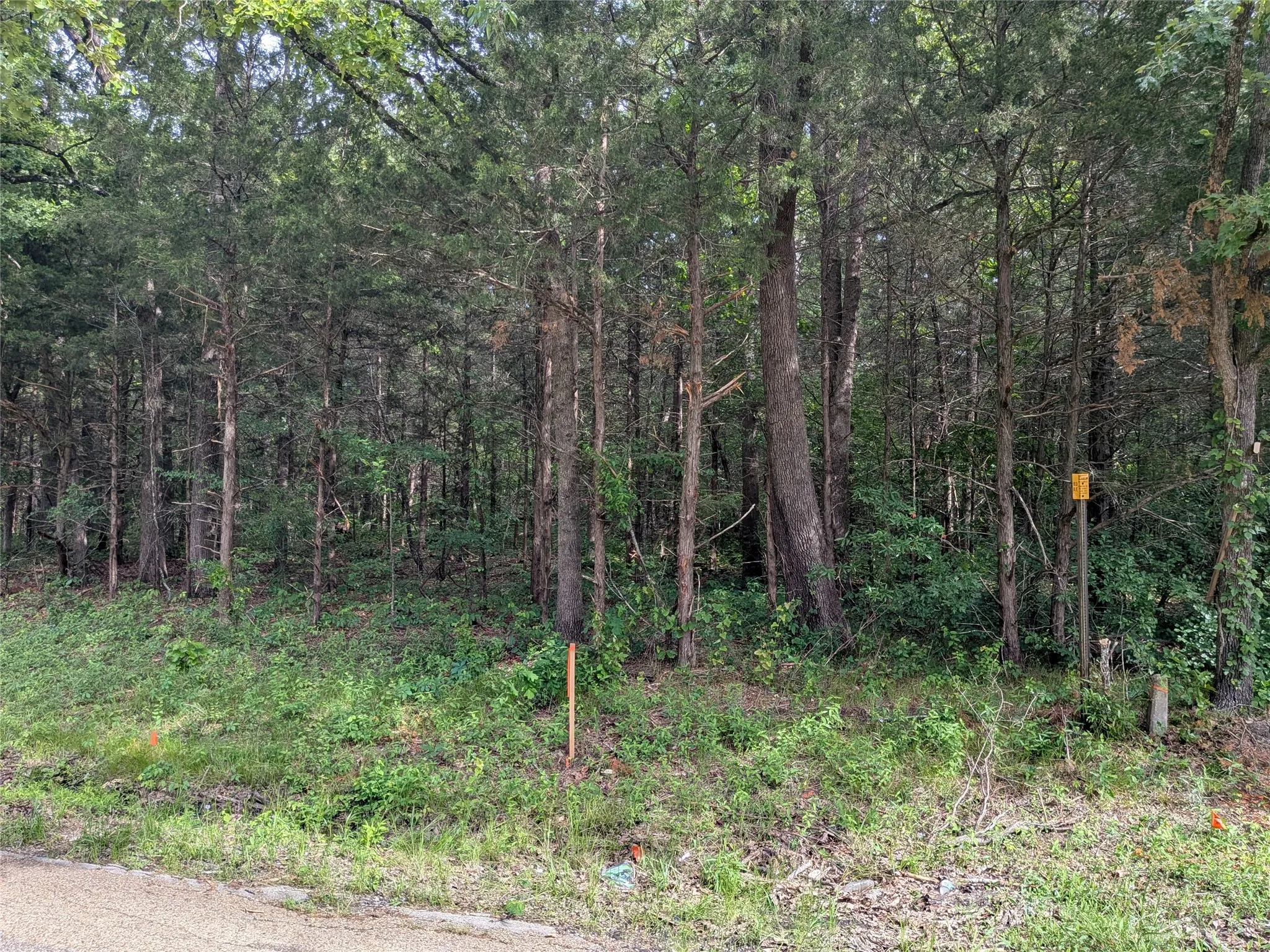 Unimproved Land For Sale in Van Zandt County , 110 Vz County Road 1129, Fruitvale, Texas 75127, 0, 0, Garage spaces, 0 Sqft, built in 0, mls#21247880, Real Estate Agent in Fruitvale, Homes For Sale in Van Zandt county, Homes For Sale in Fruitvale, Realtor in Fruitvale Texas, Real Estate Brokerage Independent Realty Texas, Luminita Cordes Realtor