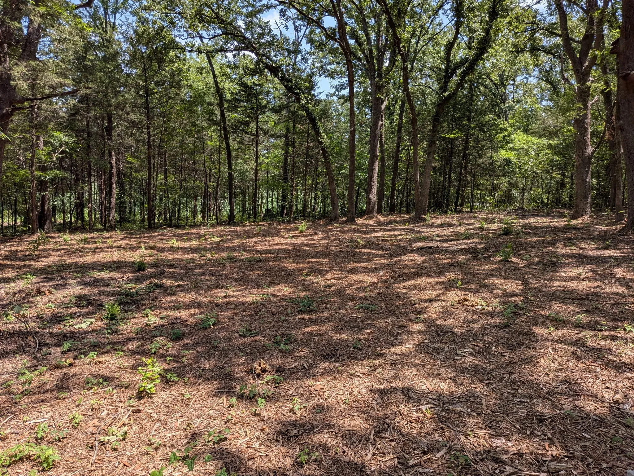 Unimproved Land For Sale in Van Zandt County , 110 Vz County Road 1129, Fruitvale, Texas 75127, 0, 0, Garage spaces, 0 Sqft, built in 0, mls#21247880, Real Estate Agent in Fruitvale, Homes For Sale in Van Zandt county, Homes For Sale in Fruitvale, Realtor in Fruitvale Texas, Real Estate Brokerage Independent Realty Texas, Luminita Cordes Realtor