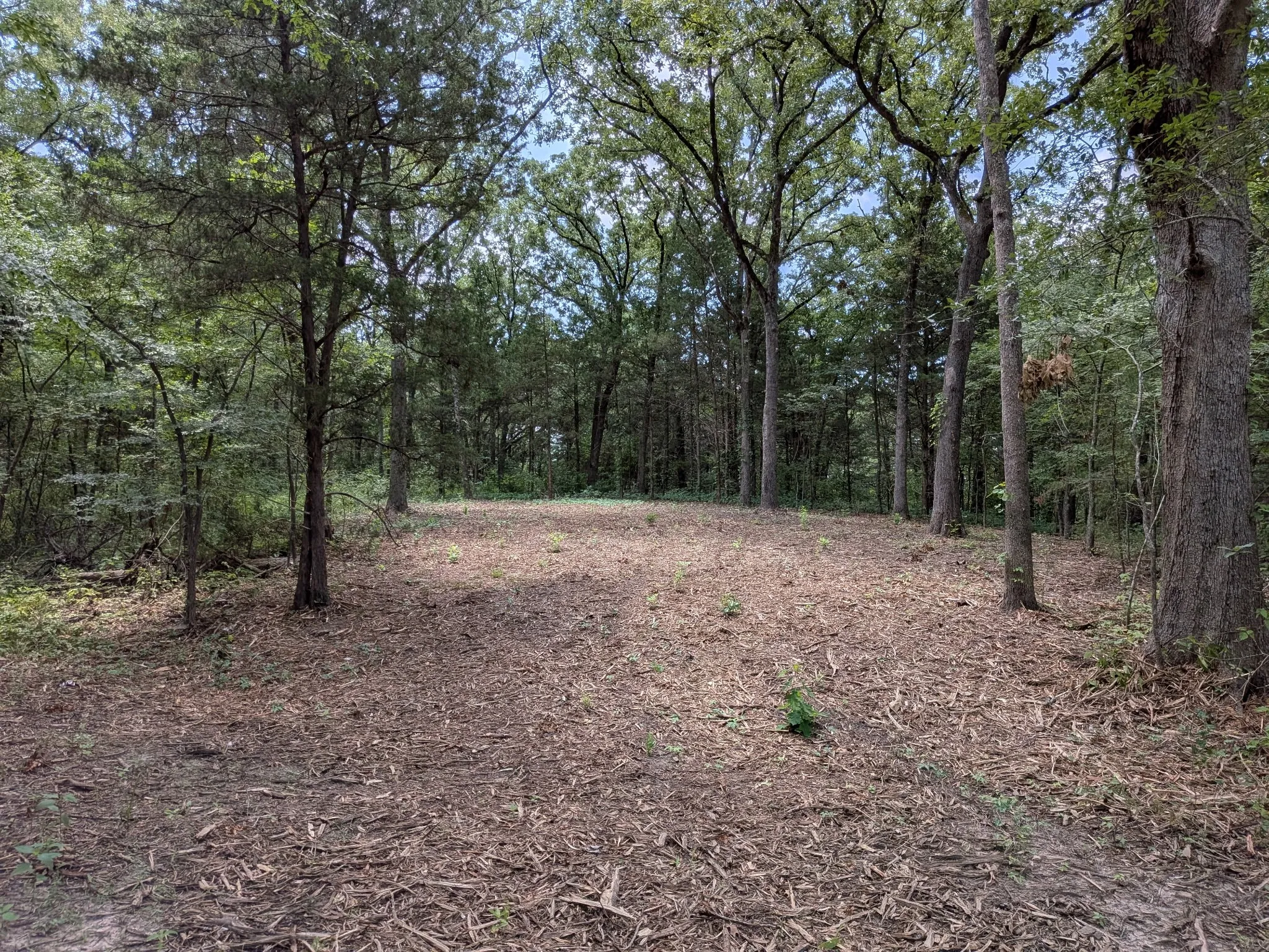 Unimproved Land For Sale in Van Zandt County , 110 Vz County Road 1129, Fruitvale, Texas 75127, 0, 0, Garage spaces, 0 Sqft, built in 0, mls#21247880, Real Estate Agent in Fruitvale, Homes For Sale in Van Zandt county, Homes For Sale in Fruitvale, Realtor in Fruitvale Texas, Real Estate Brokerage Independent Realty Texas, Luminita Cordes Realtor