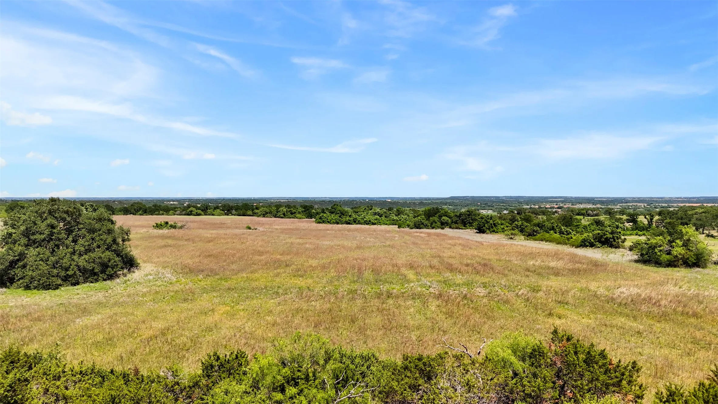 Expansive open fields featuring natural grasses and scattered mature trees under a wide blue sky