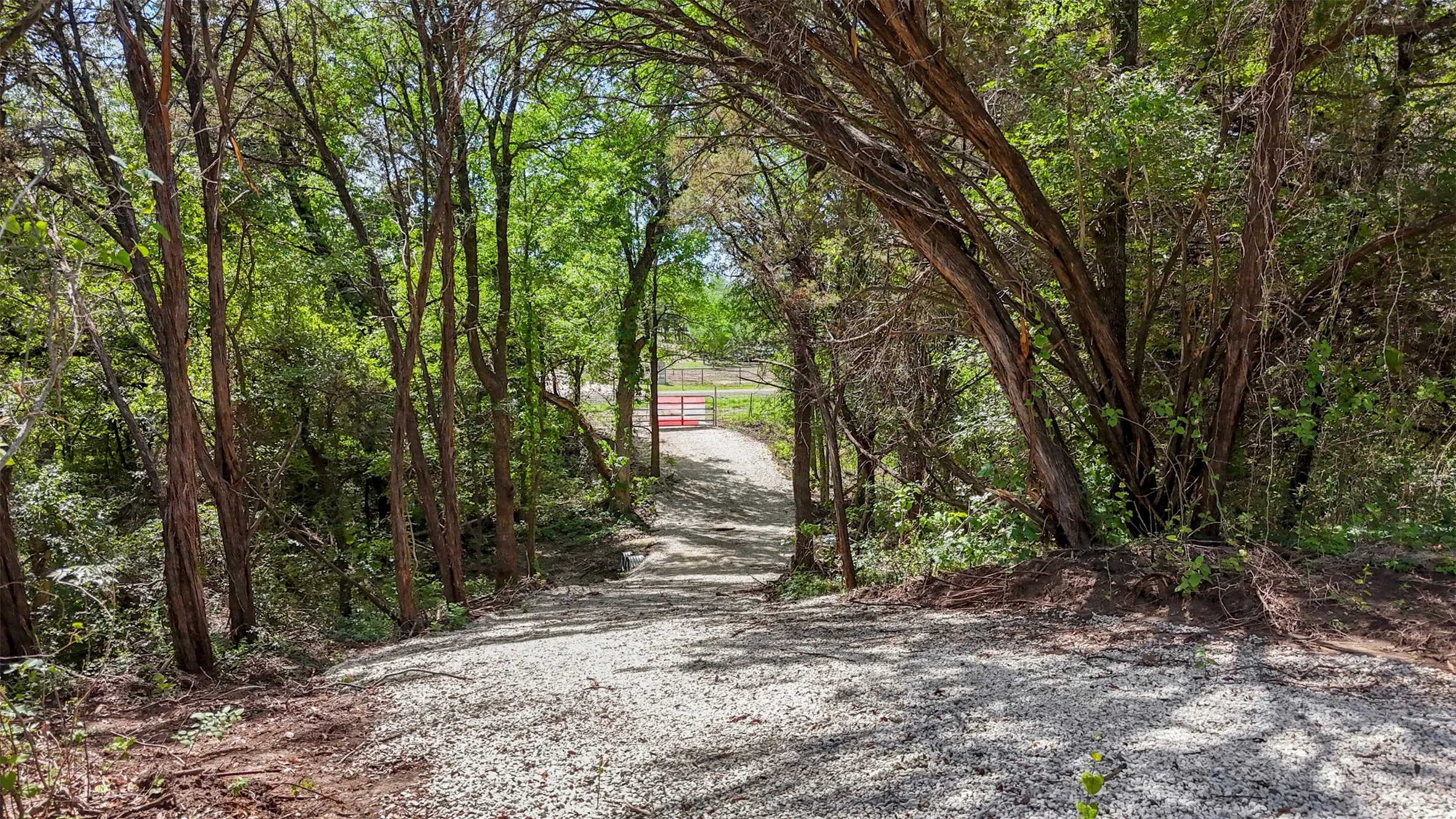 Gravel driveway surrounded by mature trees and lush foliage, leading to a red gate