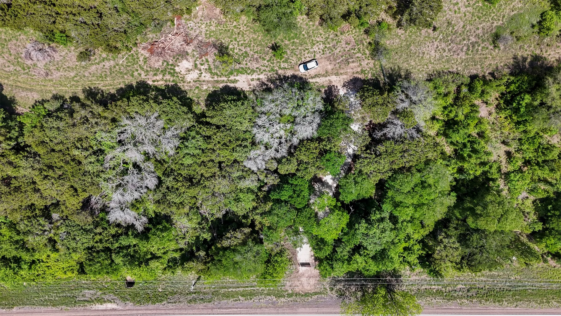 Expansive land parcel featuring dense tree coverage and natural groundcover