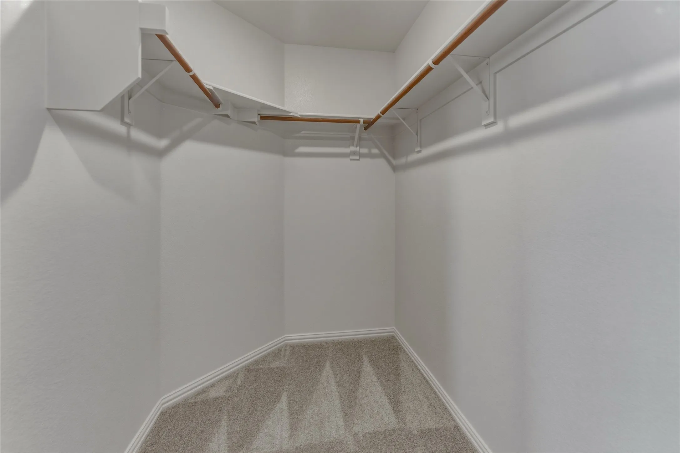 Walk-in closet featuring light-toned carpeting, white shelving, and wooden hanging rods