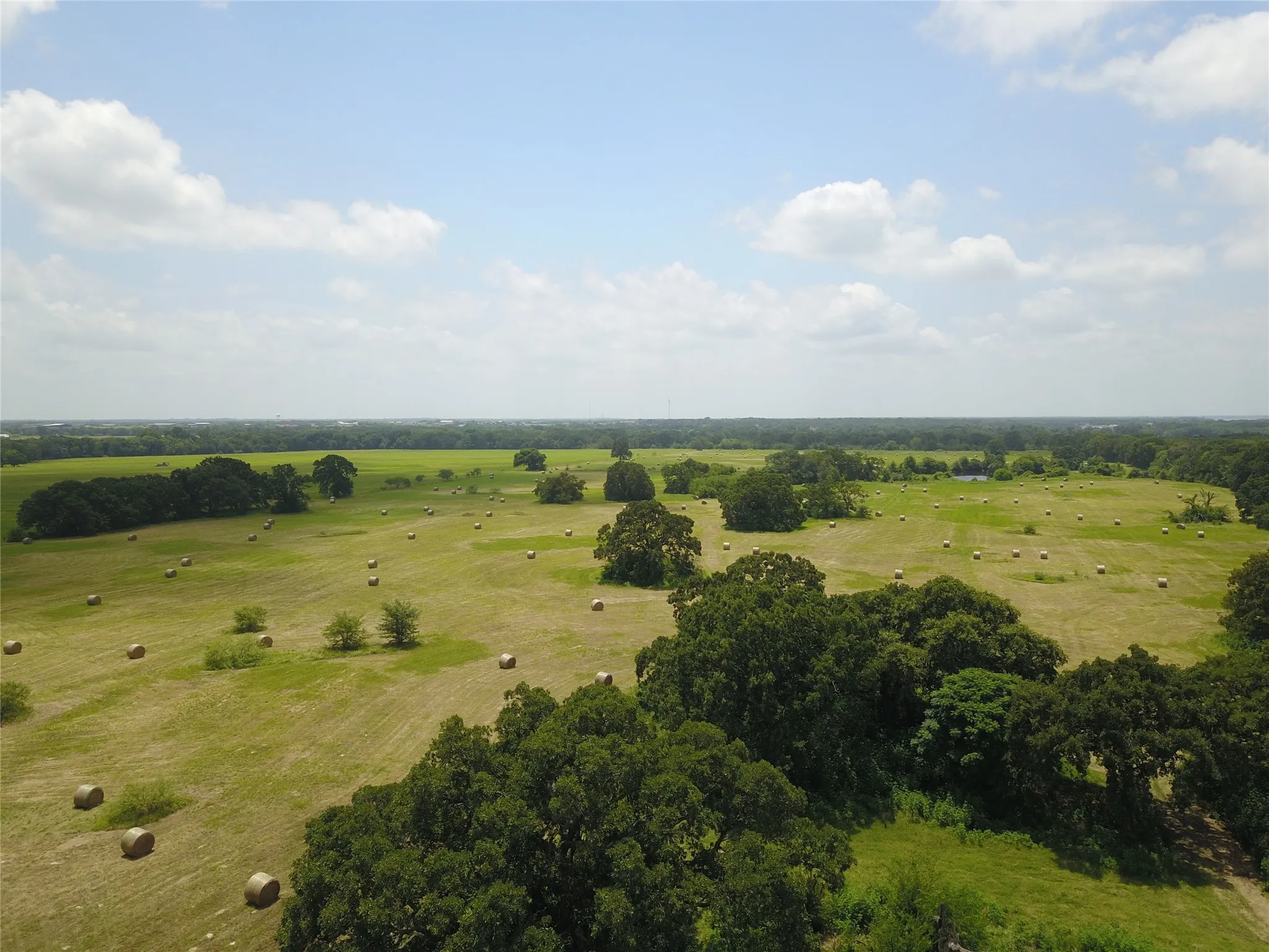 Unimproved Land For Sale in Henderson County , 0000 CR 4006, Mabank, Texas 75147, 0, 0, Garage spaces, 0 Sqft, built in 0, Price $699,000, mls#21248110, Real Estate Agent in Mabank, Homes For Sale in Henderson county, Homes For Sale in Mabank, Realtor in Mabank Texas, Real Estate Brokerage Independent Realty Texas, Luminita Cordes Realtor